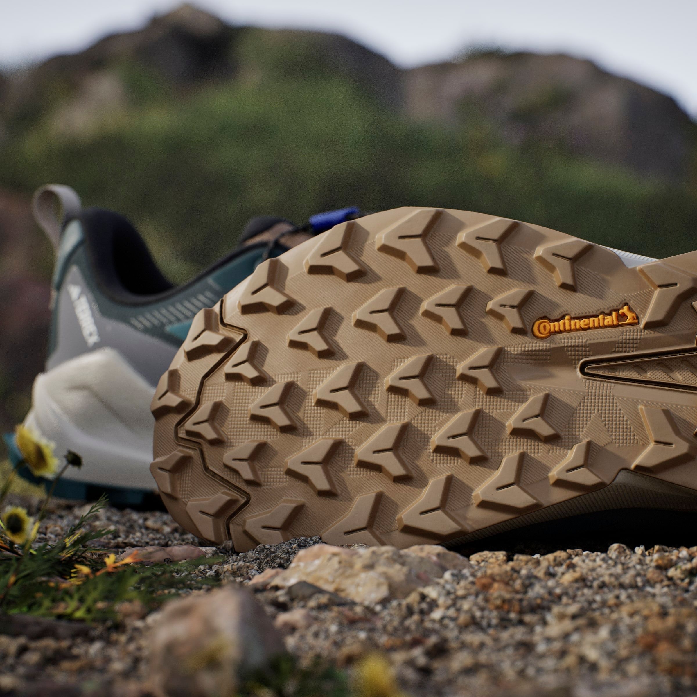 adidas TERREX Wanderschuh »TERREX TRAILMAKER 2 GORE-TEX SPEED LACE«, wasserdicht