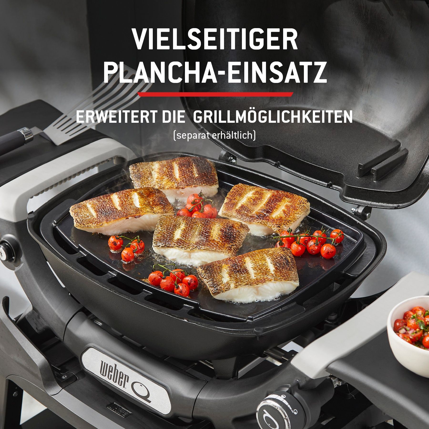 Weber Gasgrill »Q1200N« Mit Deckelthermometer, abnehmbaren Seitentischen und Untergestell