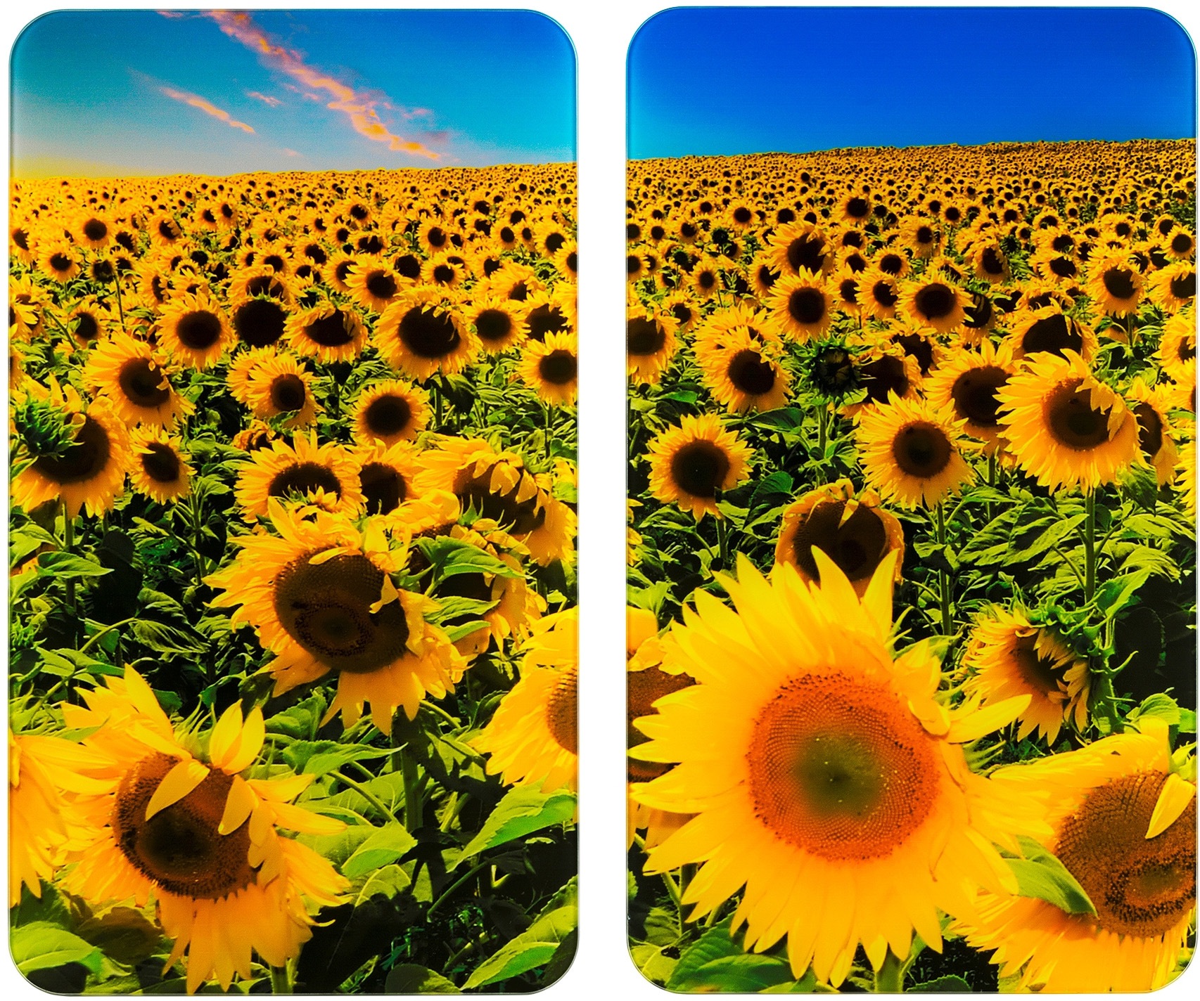 WENKO Herd-Abdeckplatte »Universal Sonnenblumenfeld«