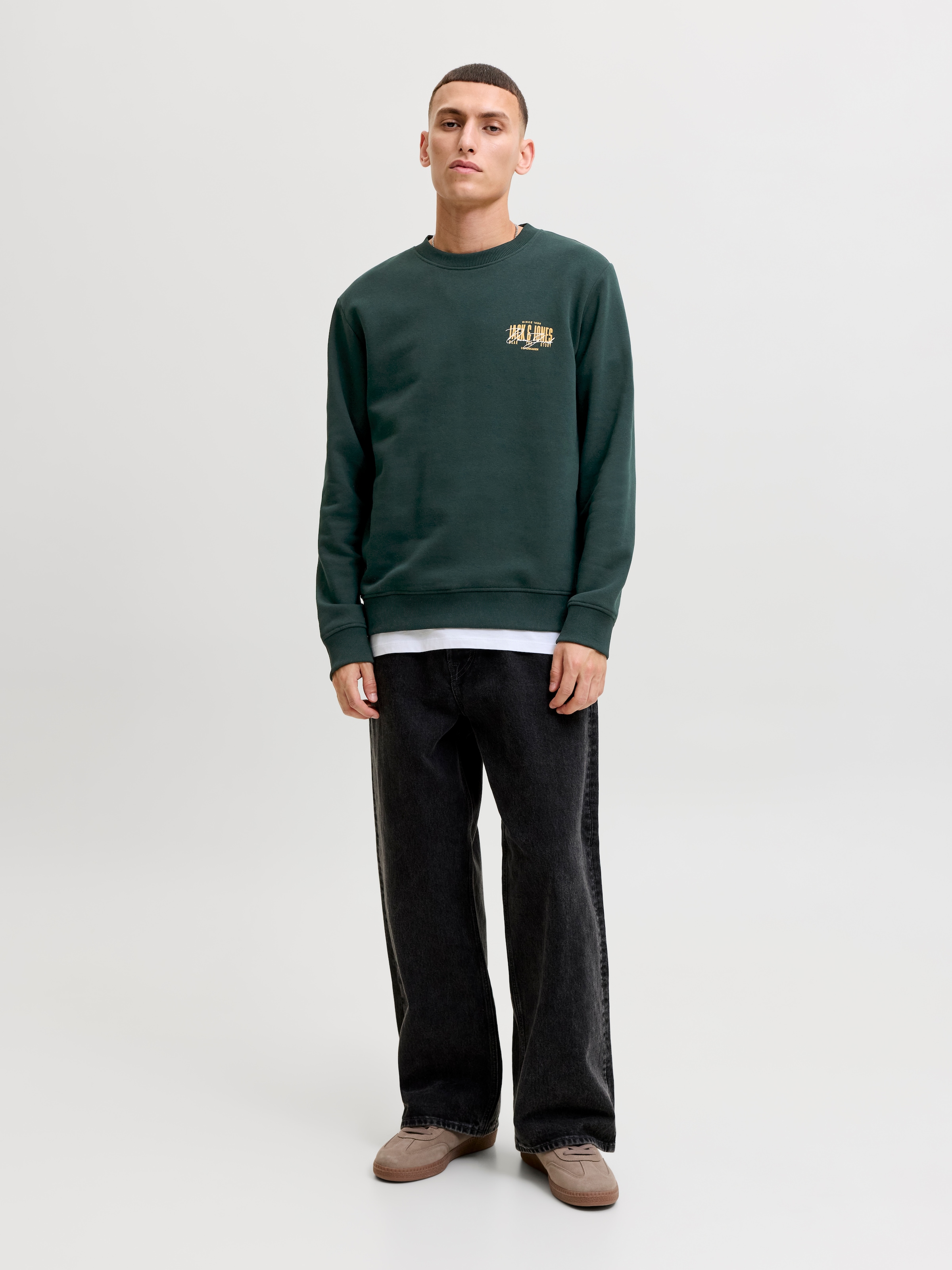 Jack & Jones Sweatshirt »JJAERO SWEAT CREW NECK«, Materialmix, regular fit

