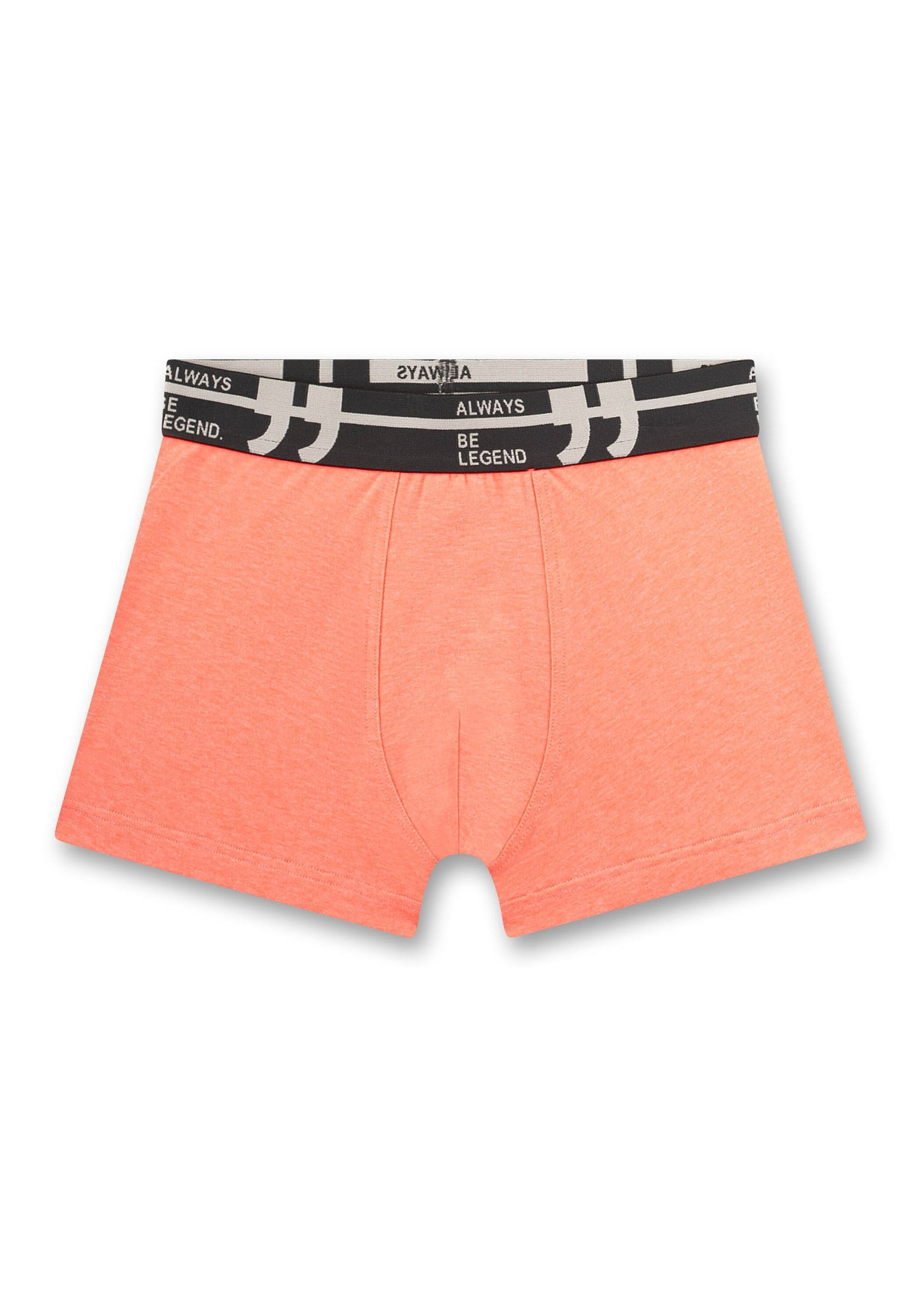 Sanetta Boxershorts »Boxershort 5er Pack«
