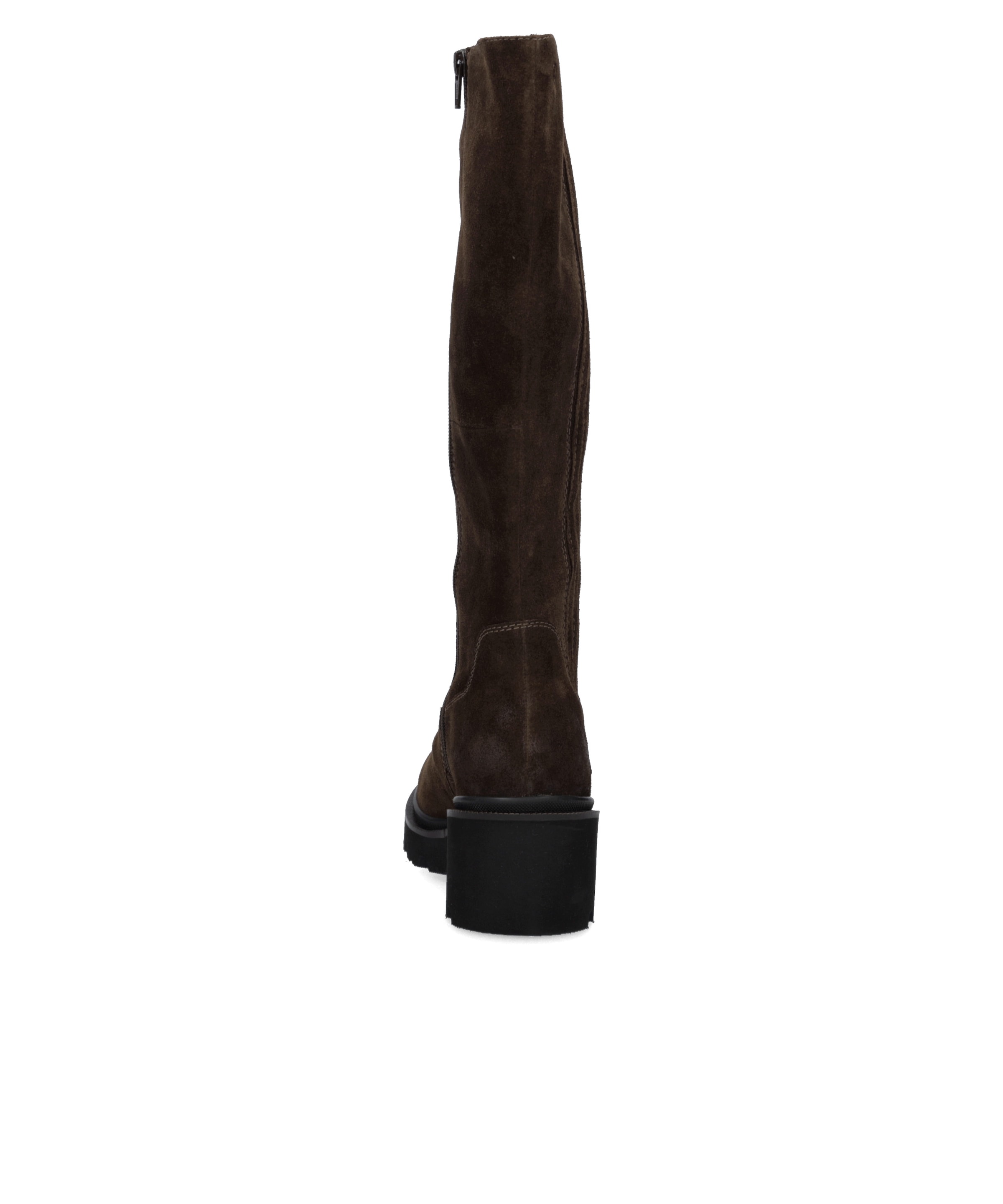 Josef Seibel Stiefel »Josephine 05, brasil«