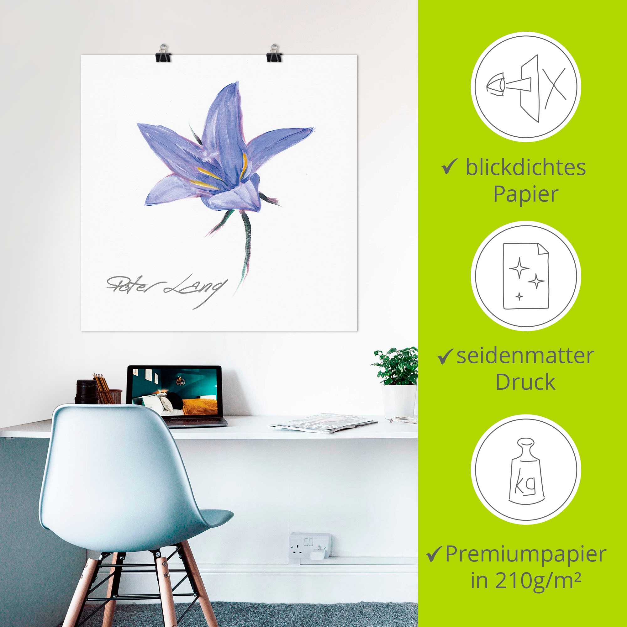 Artland Poster »Blume_weiß II«, Blumen, (1 St.), als Alubild, Leinwandbild, Wandaufkleber oder Poster in versch. Größen