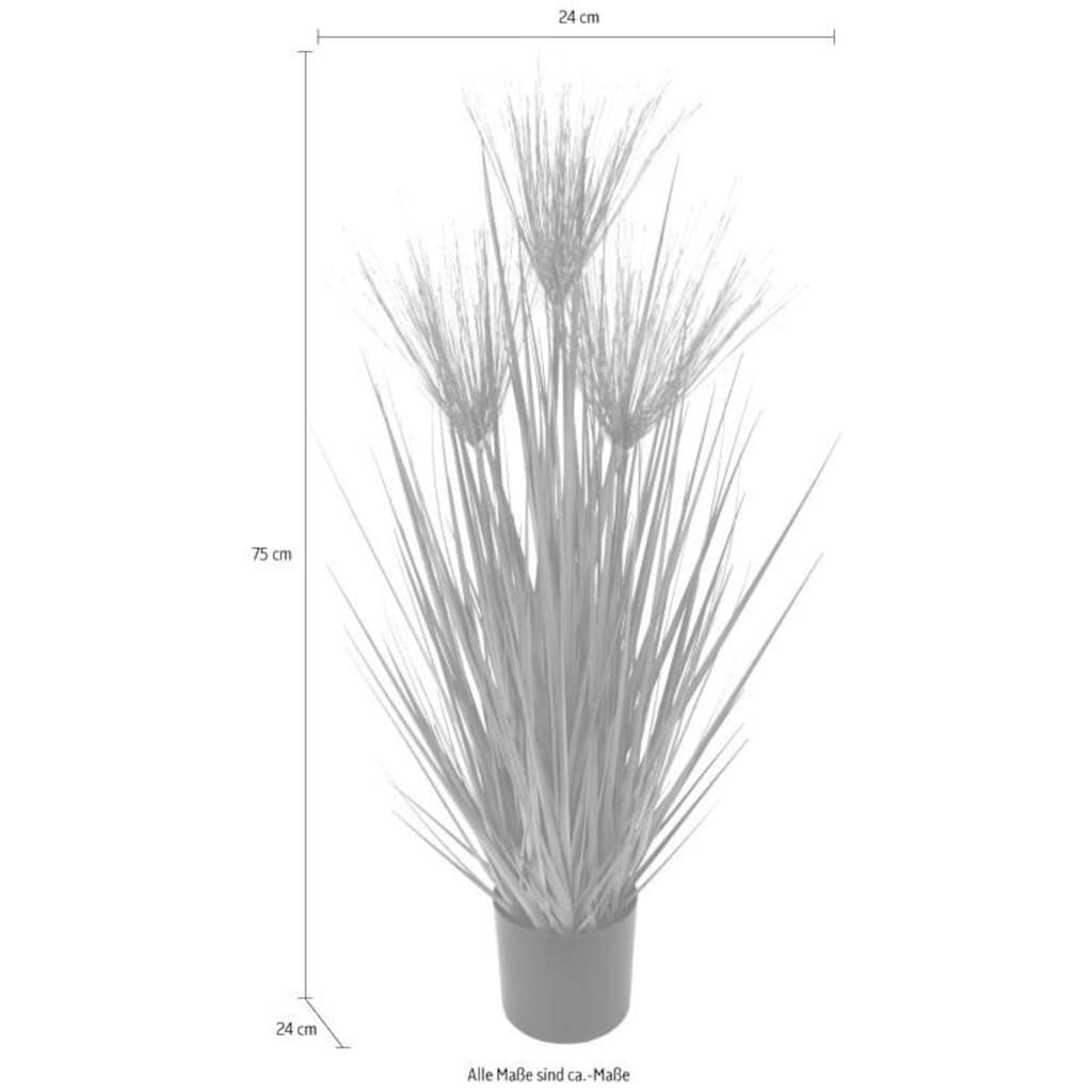I.GE.A. Kunstpflanze »Zyperngras im Topf«