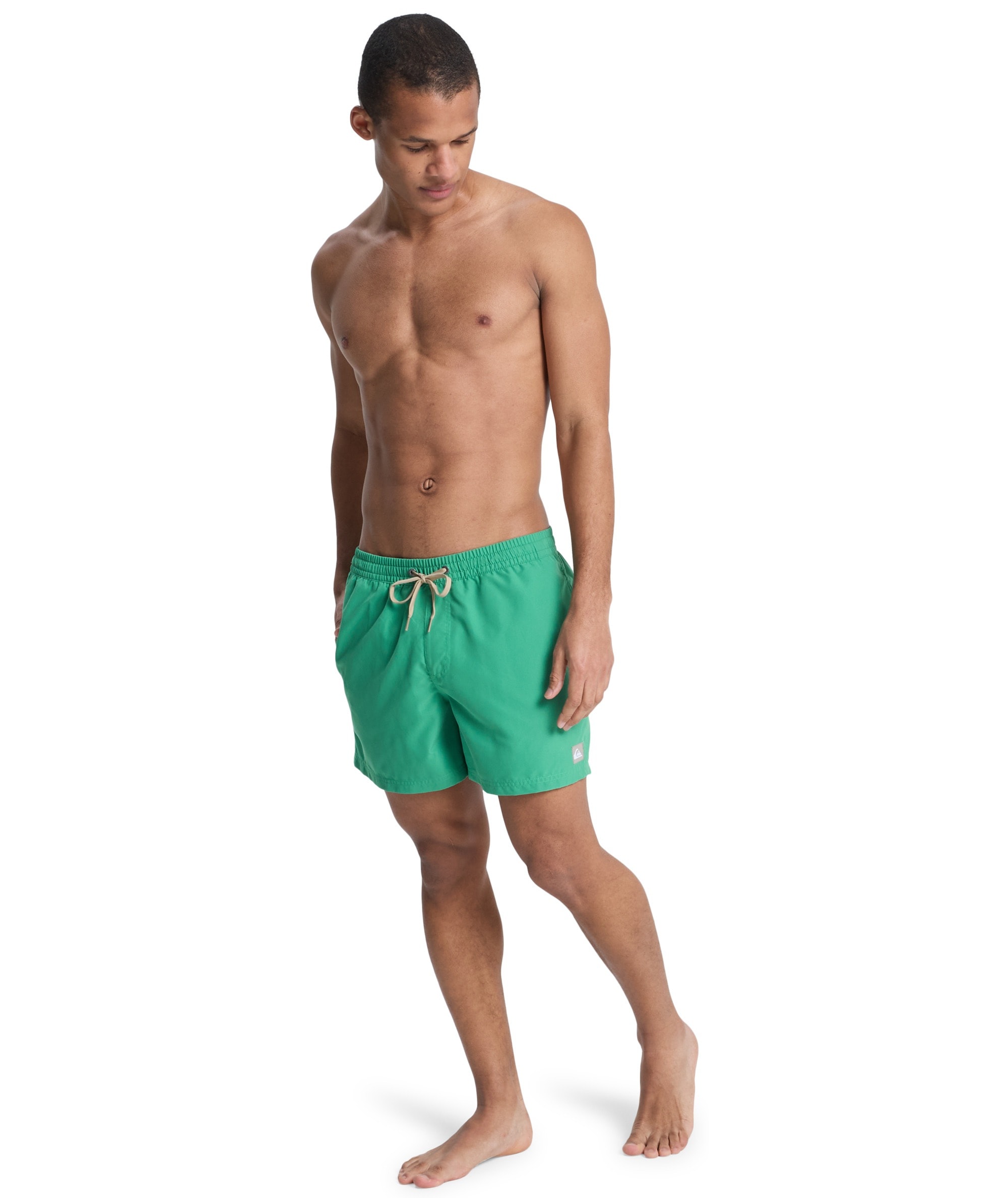 Quiksilver Badeshorts »EVERYDAY VOLLEY 15« sportliche Schnittform, für Erwachsene, schnelltrocknendes Material