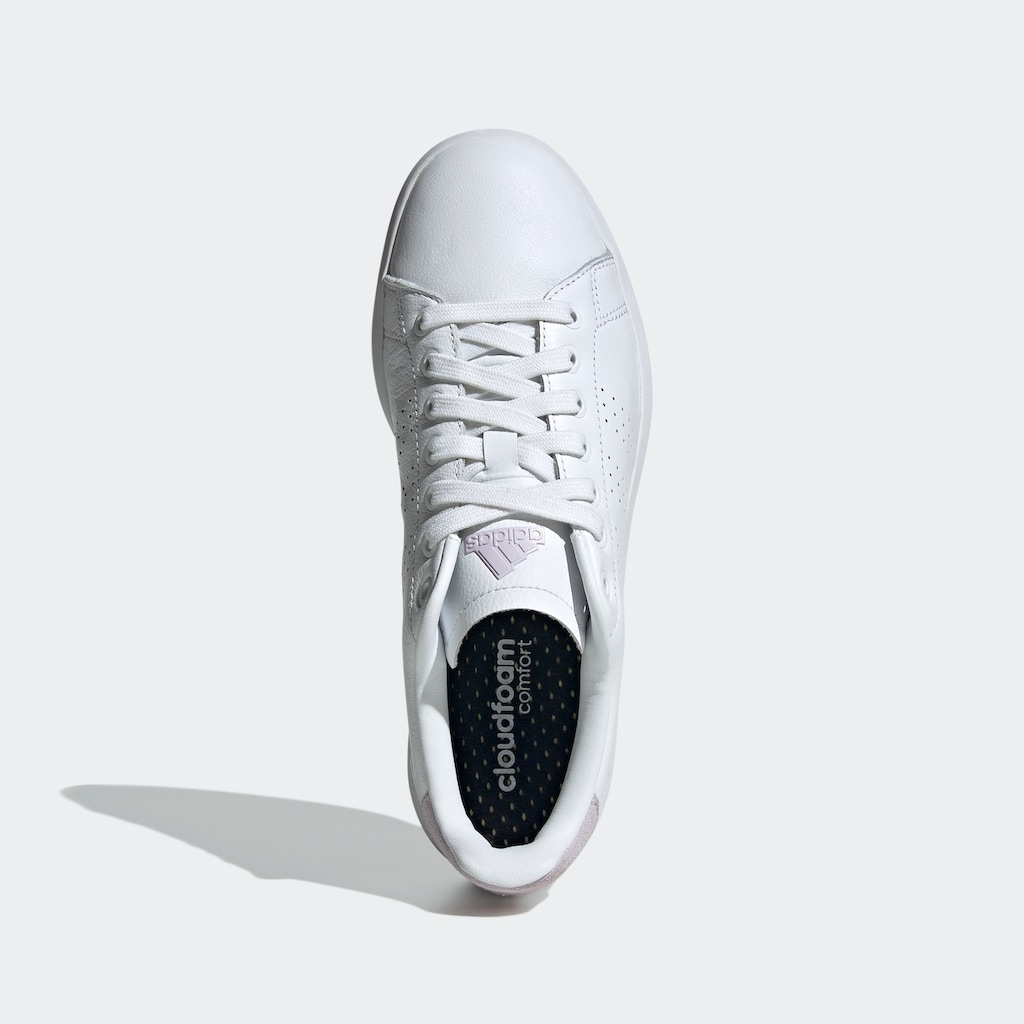adidas Sportswear Tennisschuh »ADVANTAGE PREMIUM«