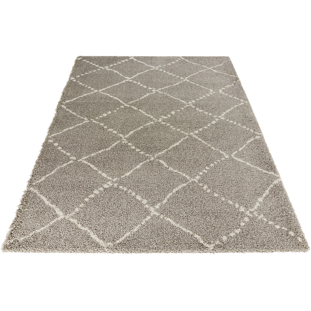 HANSE Home Hochflor-Teppich »Hash«, rechteckig