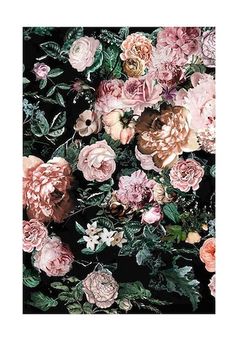Komar Poster »Charming Wild«, Blumen, Höhe: 40cm kaufen