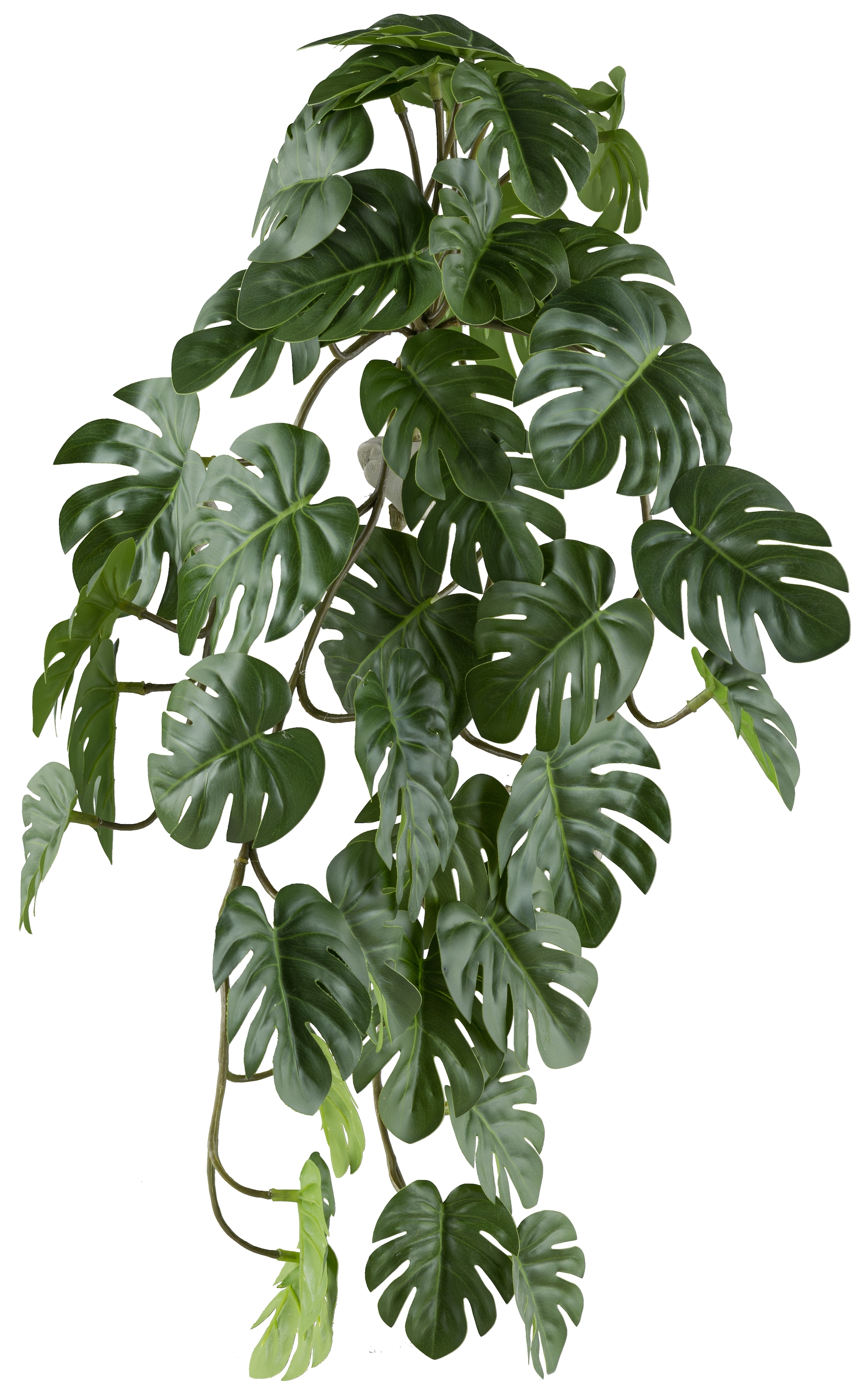 Creativ green Kunstranke »Hängepflanze Splitphilodendron«, mit naturgetreuem Blattwerk