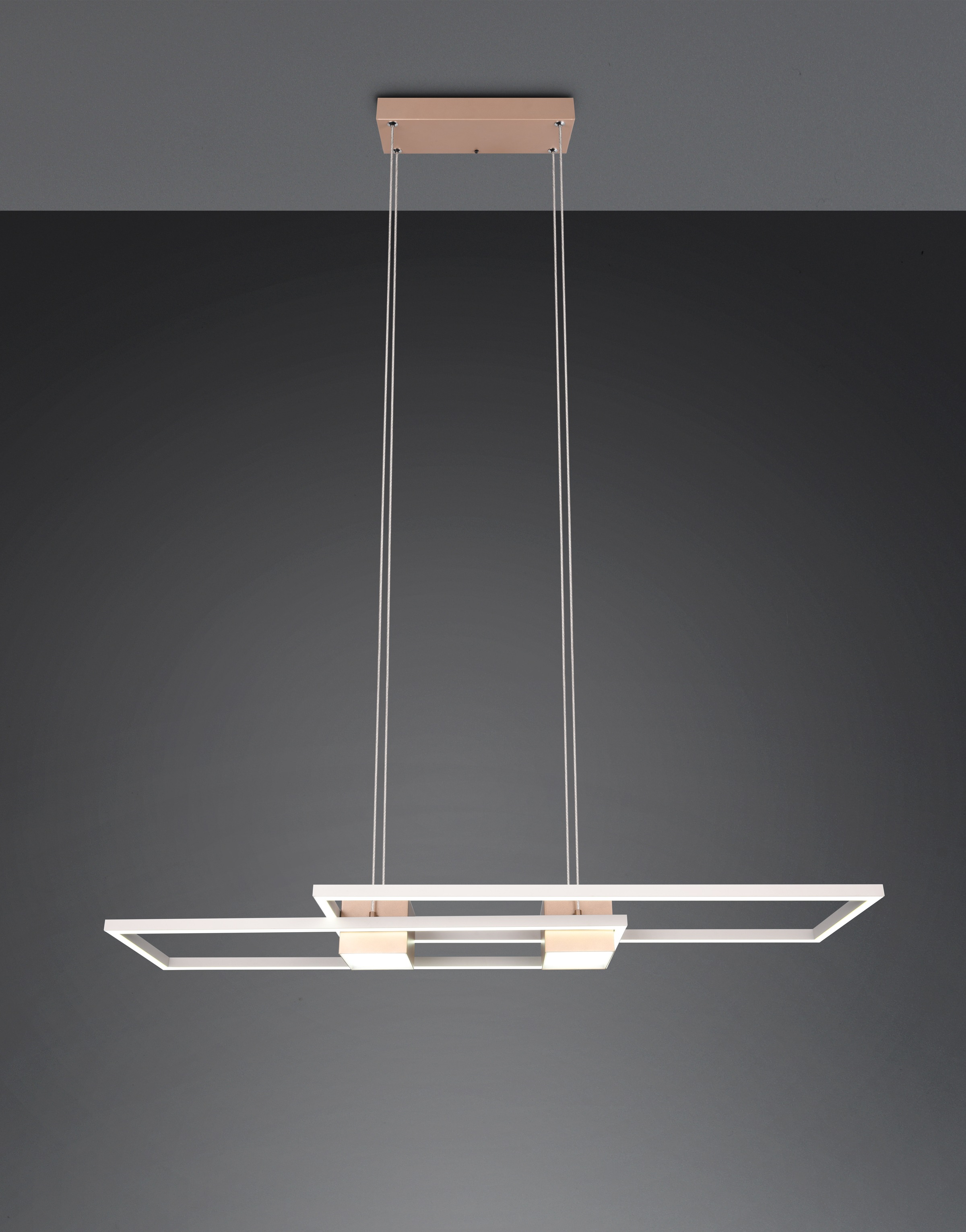 TRIO Leuchten LED Pendelleuchte »ALBANY, LED Hängelampe Wohnzimmer mit Fernbedienung, dimmbar, CCT« LED-Board 1 Stk. warmweiß - kaltweiß Lichtfarbe einstellbar, Memoryfunktion, Nachtlicht, up-and-down Licht