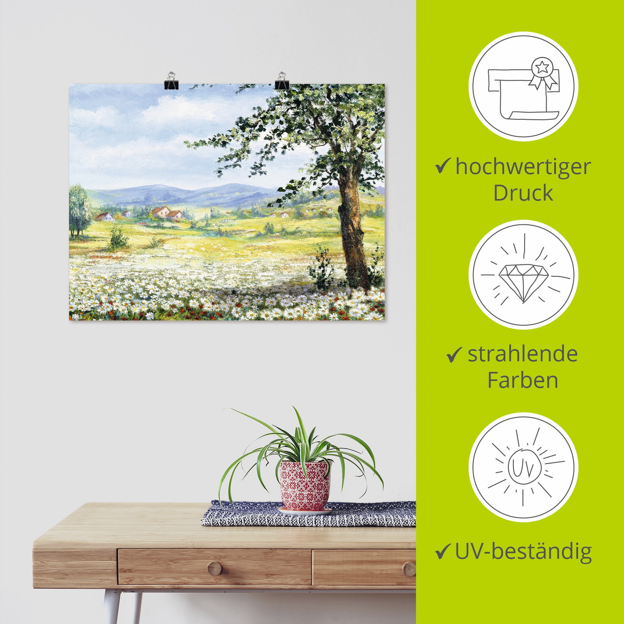 Artland Wandbild »Margeritenfeld«, Wiesen & Bäume, (1 St.), als Poster, Wandaufkleber in verschied. Größen