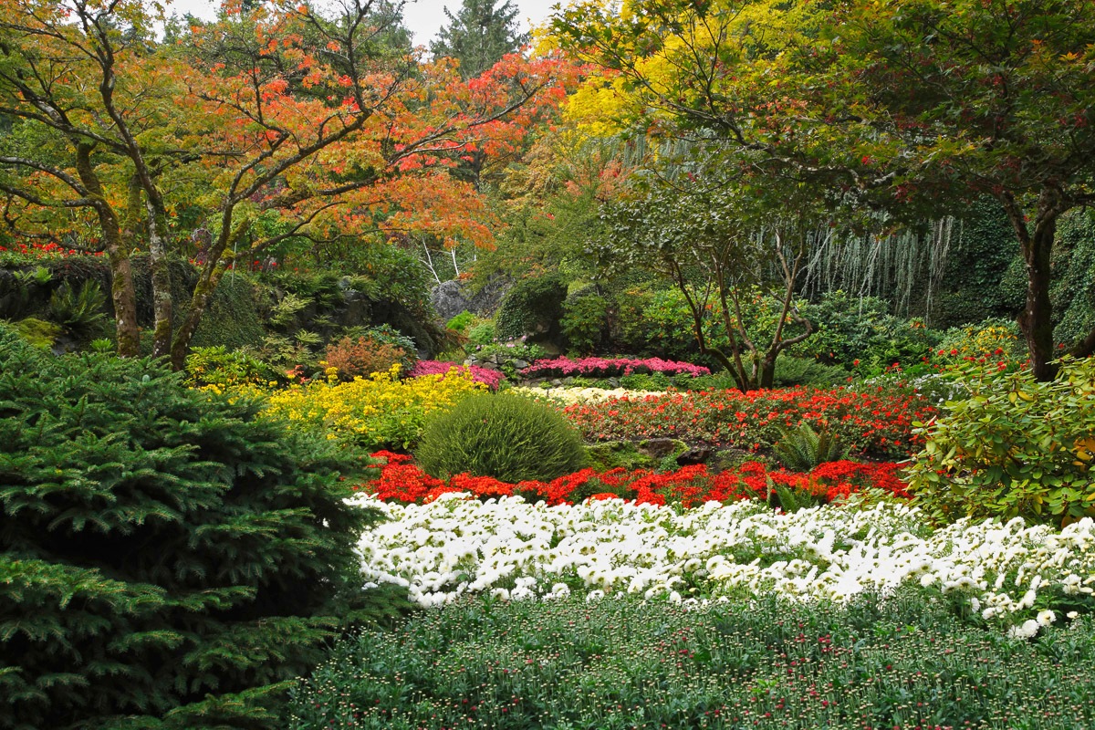Papermoon Fototapete »Blumen Garten«