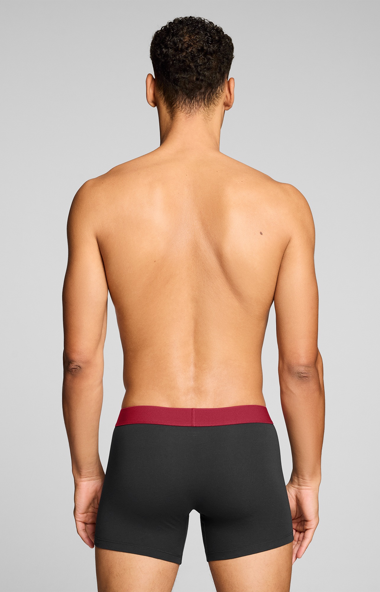 Levi's® Boxershorts »LEVIS MEN TWILL WB BOXER BRIEF 2P« 2er Pack,  ohne Eingriff, Stretchbund