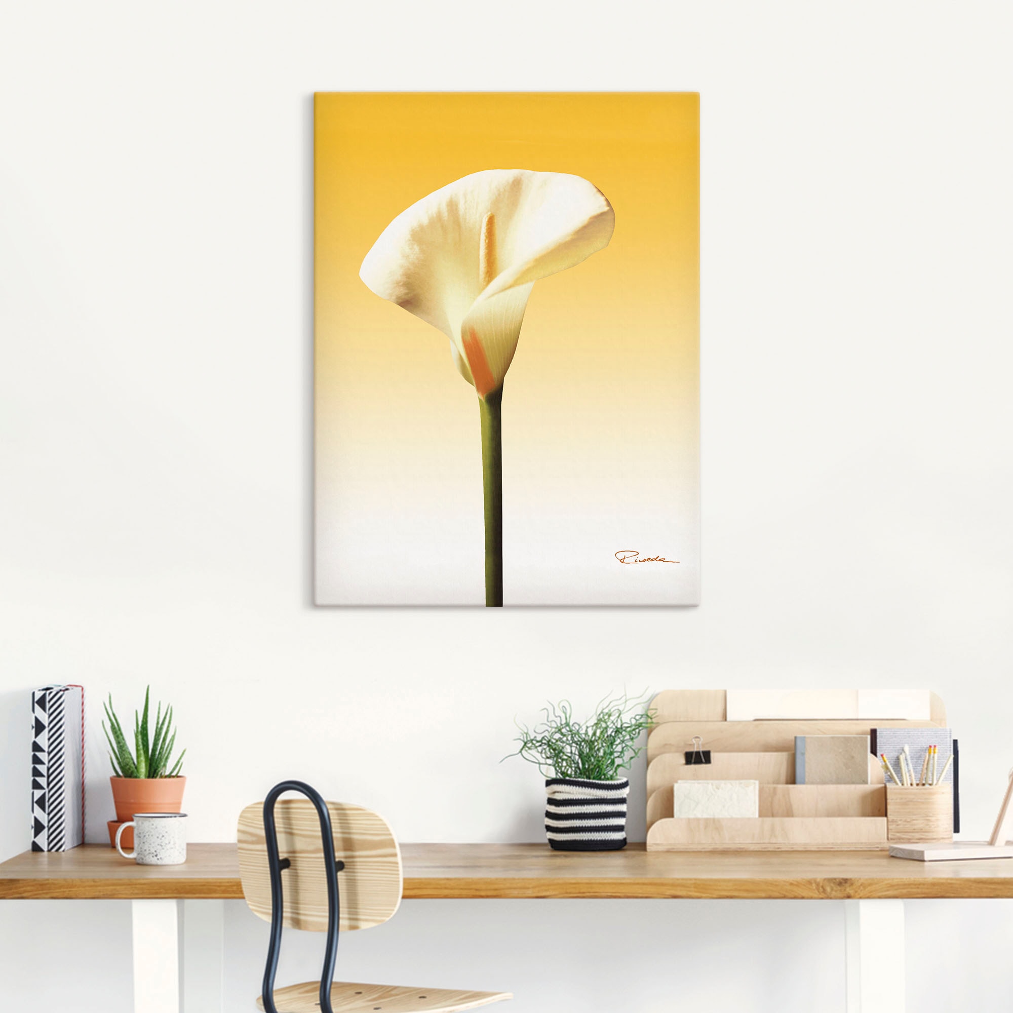 Artland Wandbild »Sonnenschein Calla II«, bei OTTO als Poster kaufen Größen Blumenbilder, St.), online (1 Leinwandbild, in verschied
