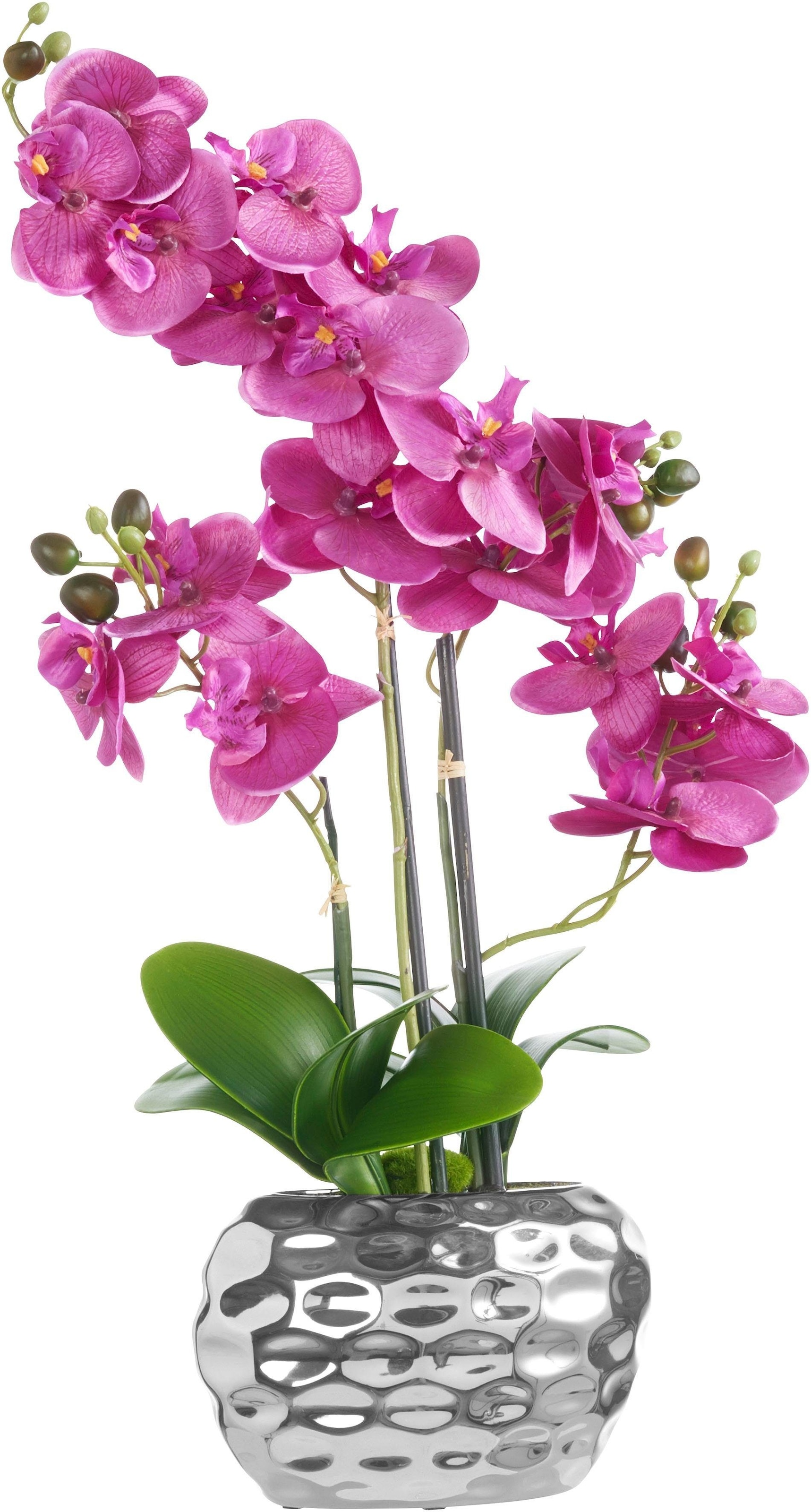 Creativ green Kunstpflanze »Orchidee«, (1 bestellen OTTO St.) bei