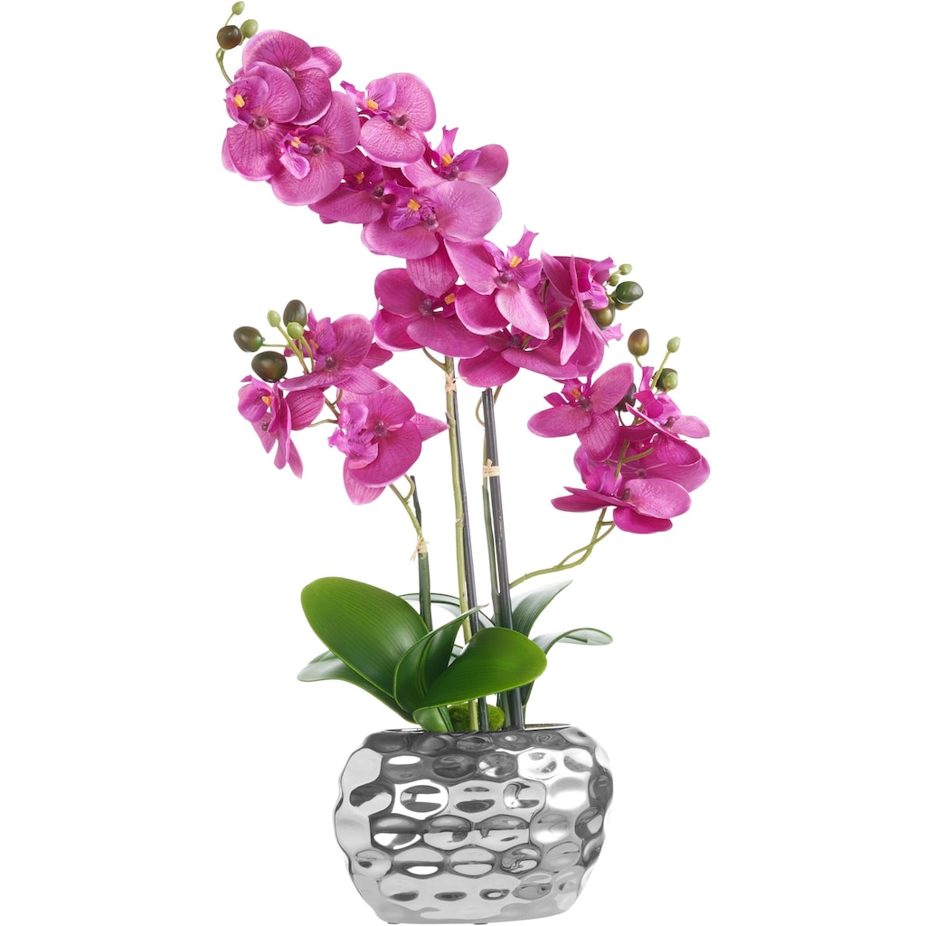 Creativ green Kunstpflanze »Orchidee«