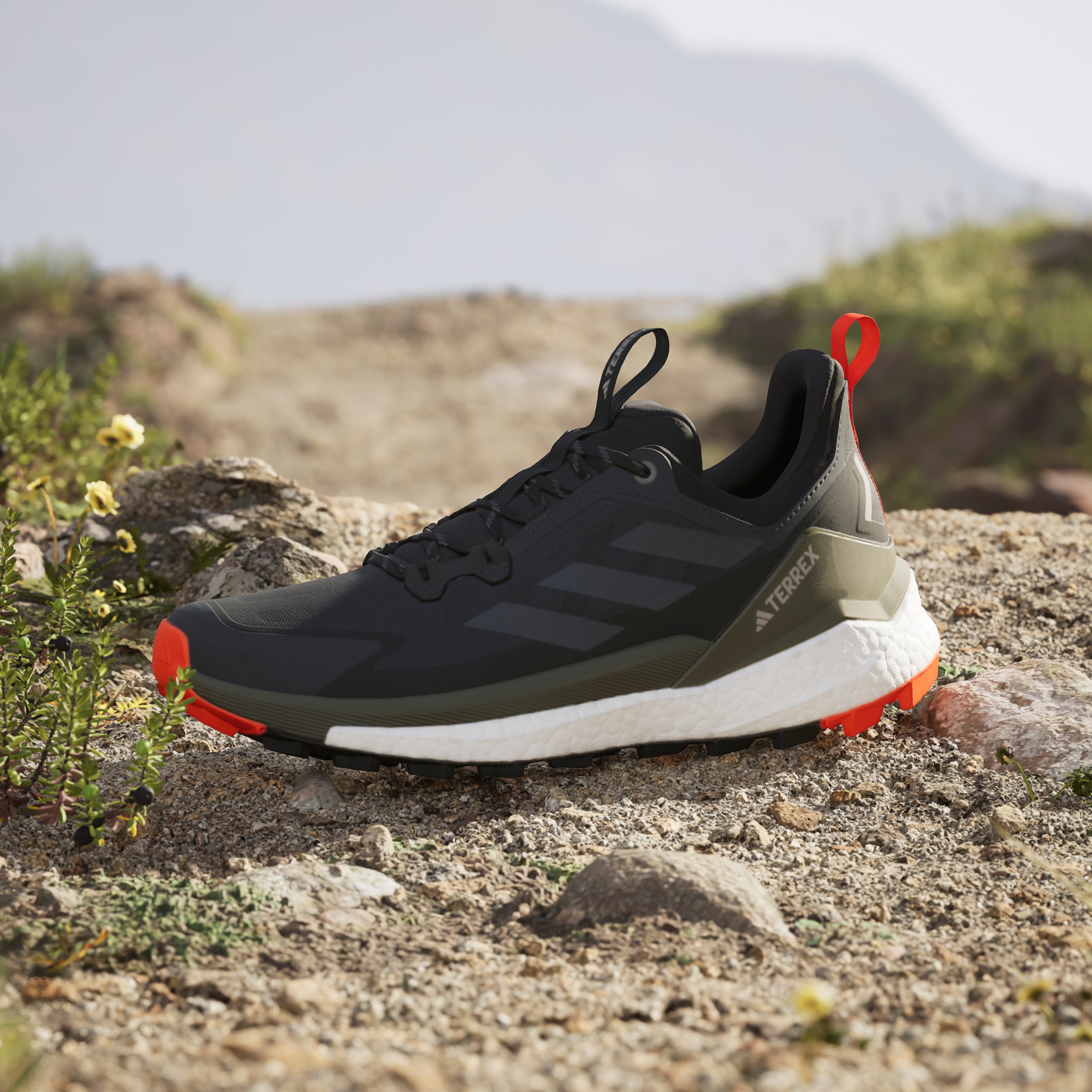 adidas TERREX Wanderschuh »TERREX FREE HIKER 2.0 LOW«