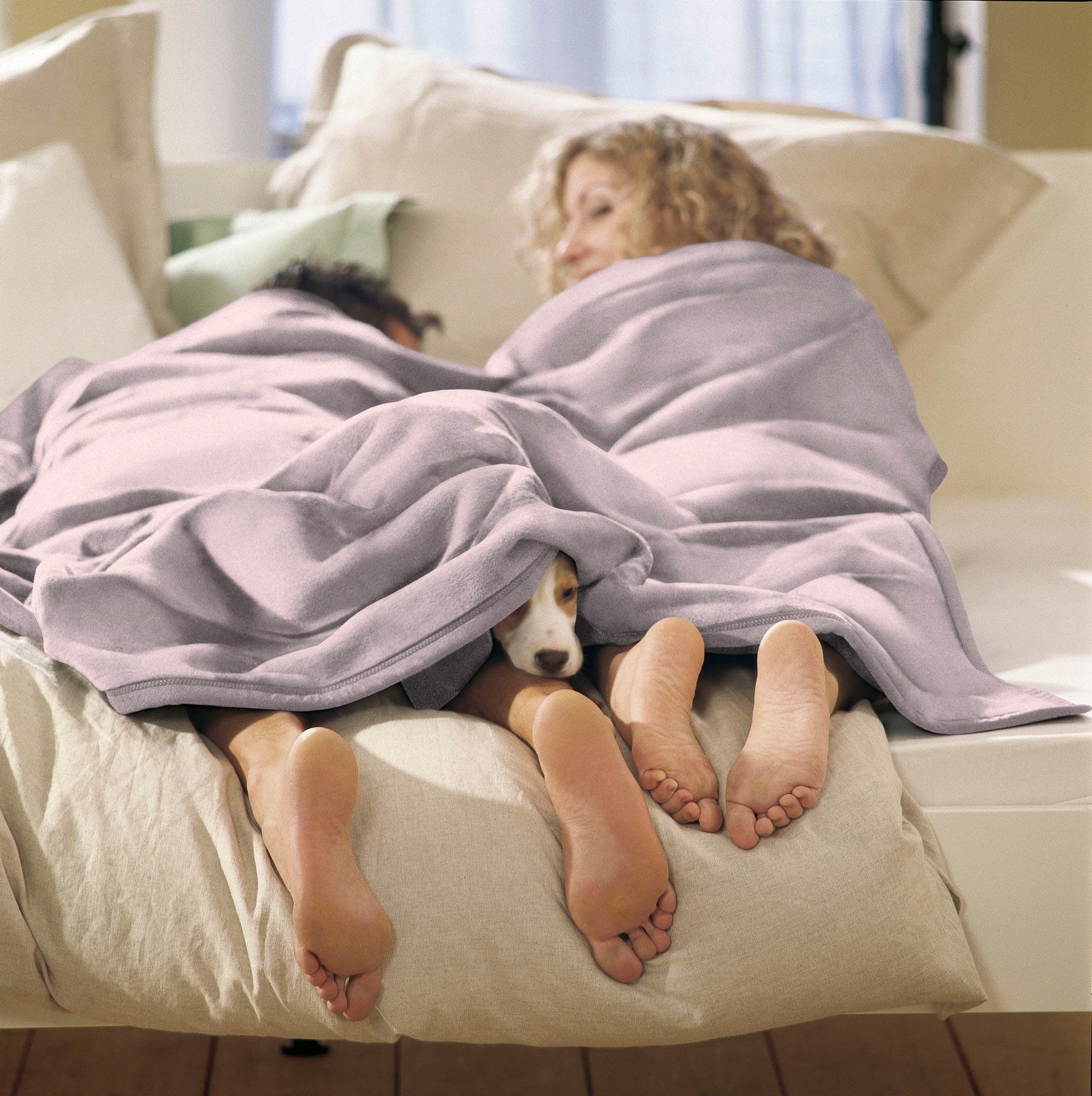 Biederlack Wohndecke »Cotton Home«, im Uni Design, Kuscheldecke
