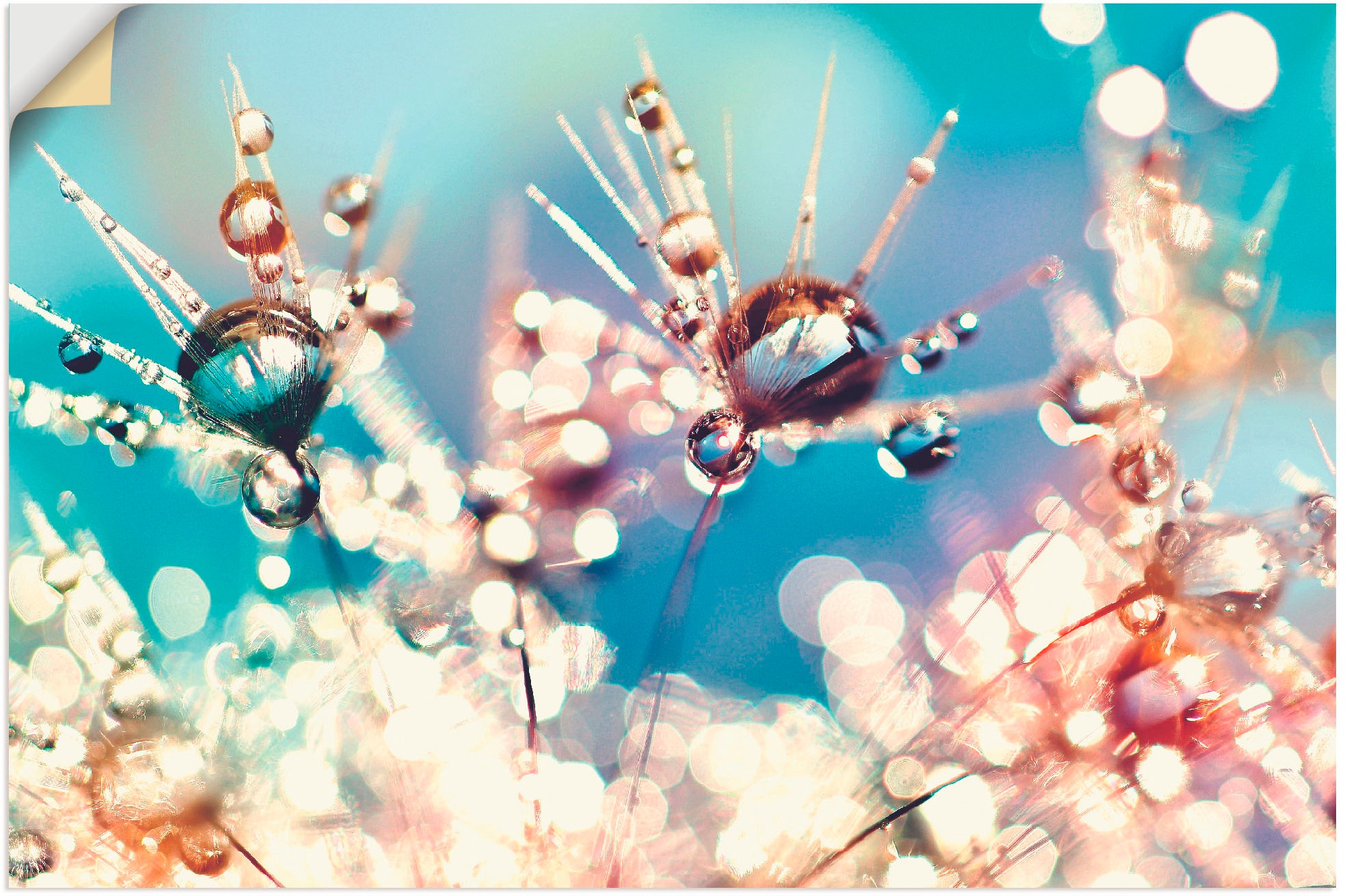 Artland Wandbild »Pusteblume Regenbogentropfen«, Blumen, (1 St.), in vielen Größen & Produktarten - Alubild / Outdoorbild für den Außenbereich, Leinwandbild, Poster, Wandaufkleber / Wandtattoo auch für Badezimmer geeignet