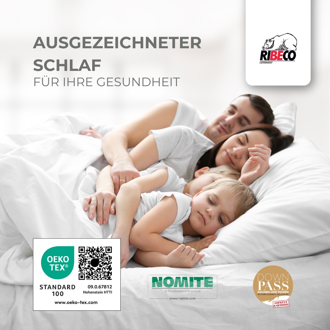 RIBECO Federbettdecke »Laram, Bettdecken für Sommer oder Winter, Made in Germany«, warm, Füllung 90% Federn, 10% Daunen, Bezug Baumwolle, (1 St.), Super Preis-Leistung, Bettdecke 135x200 cm oder 155x220 cm, Decke