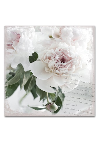 Acrylglasbild »Poesie&Rose«