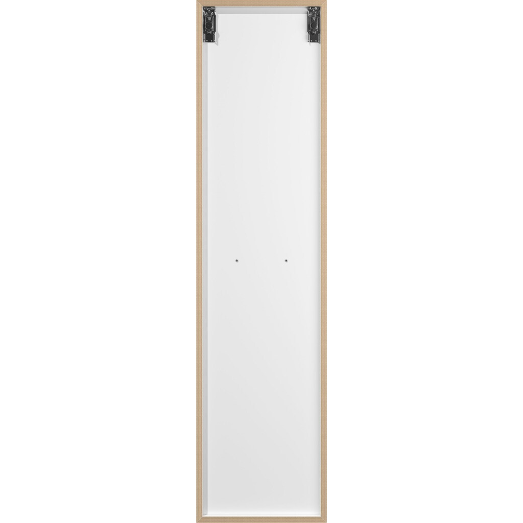 Müller SMALL LIVING Mehrzweckschrank »VERTICO VERTICAL ONE«