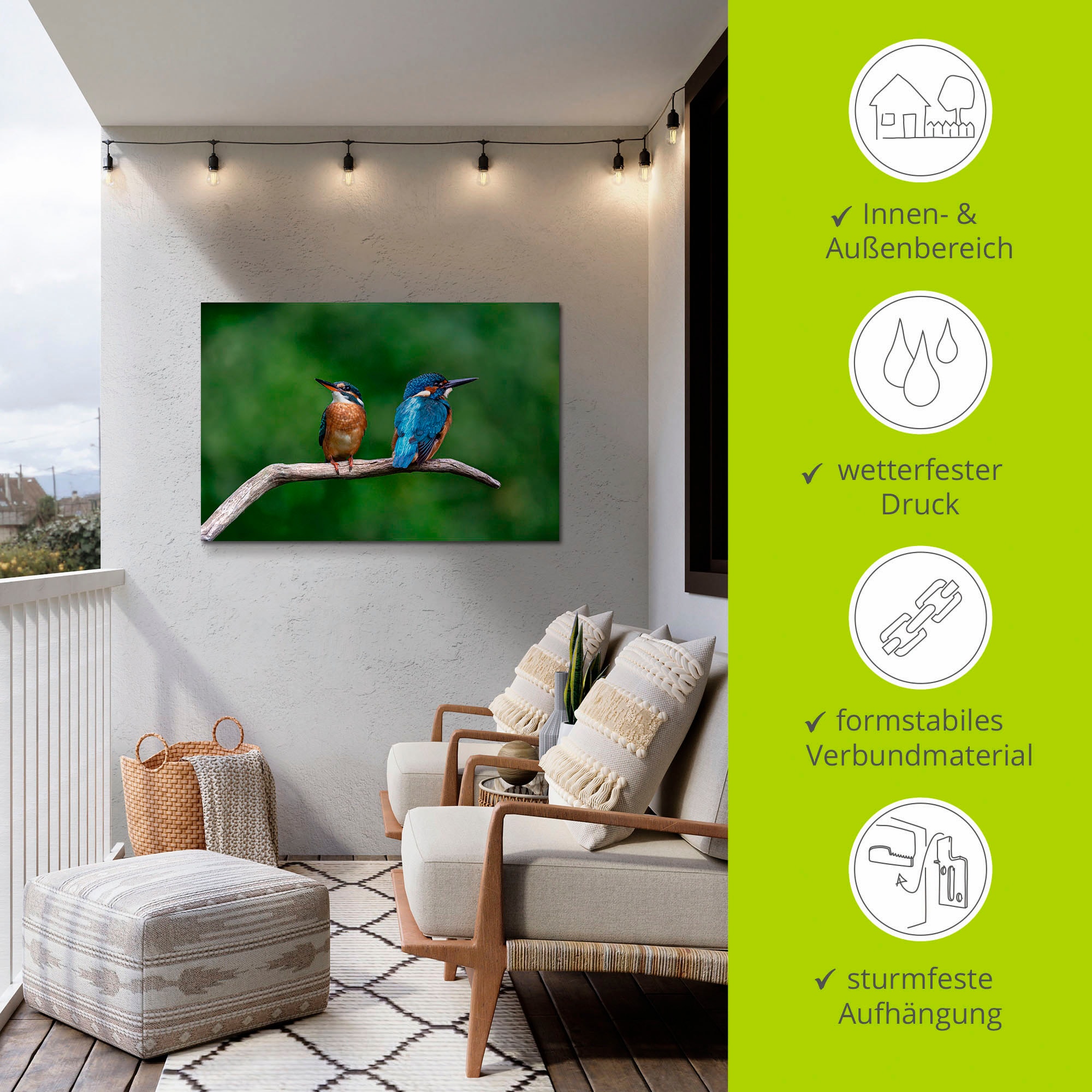 Artland Wandbild »Zwei Eisvogel«, Vogelbilder, (1 St.), als Alubild, Outdoorbild, Poster in verschied. Größen