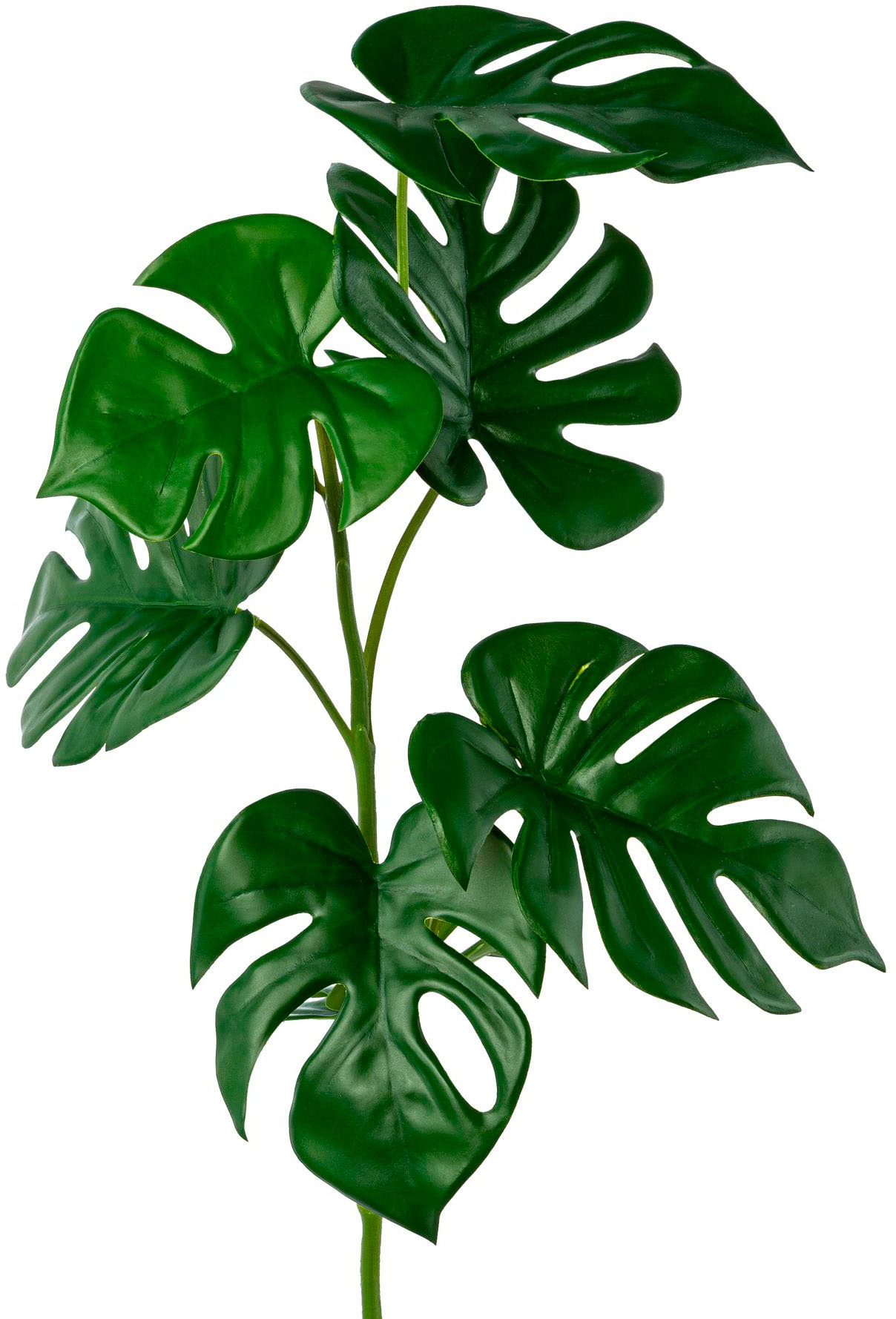 Creativ green Kunstgirlande »Split-Philodendron-Zweig«