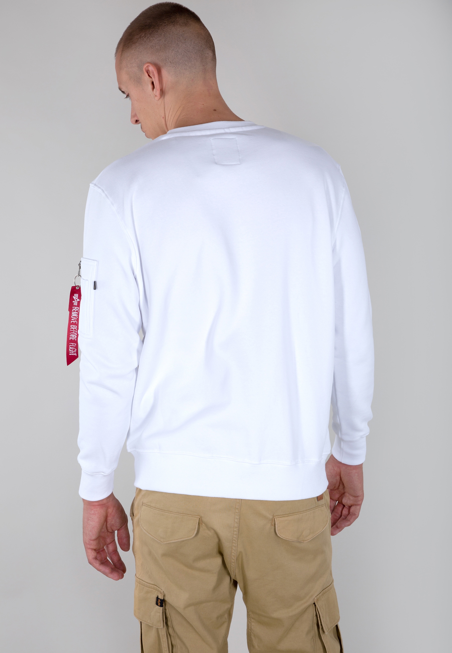 Alpha Industries Sweater »Lunar Plaque Sweater«