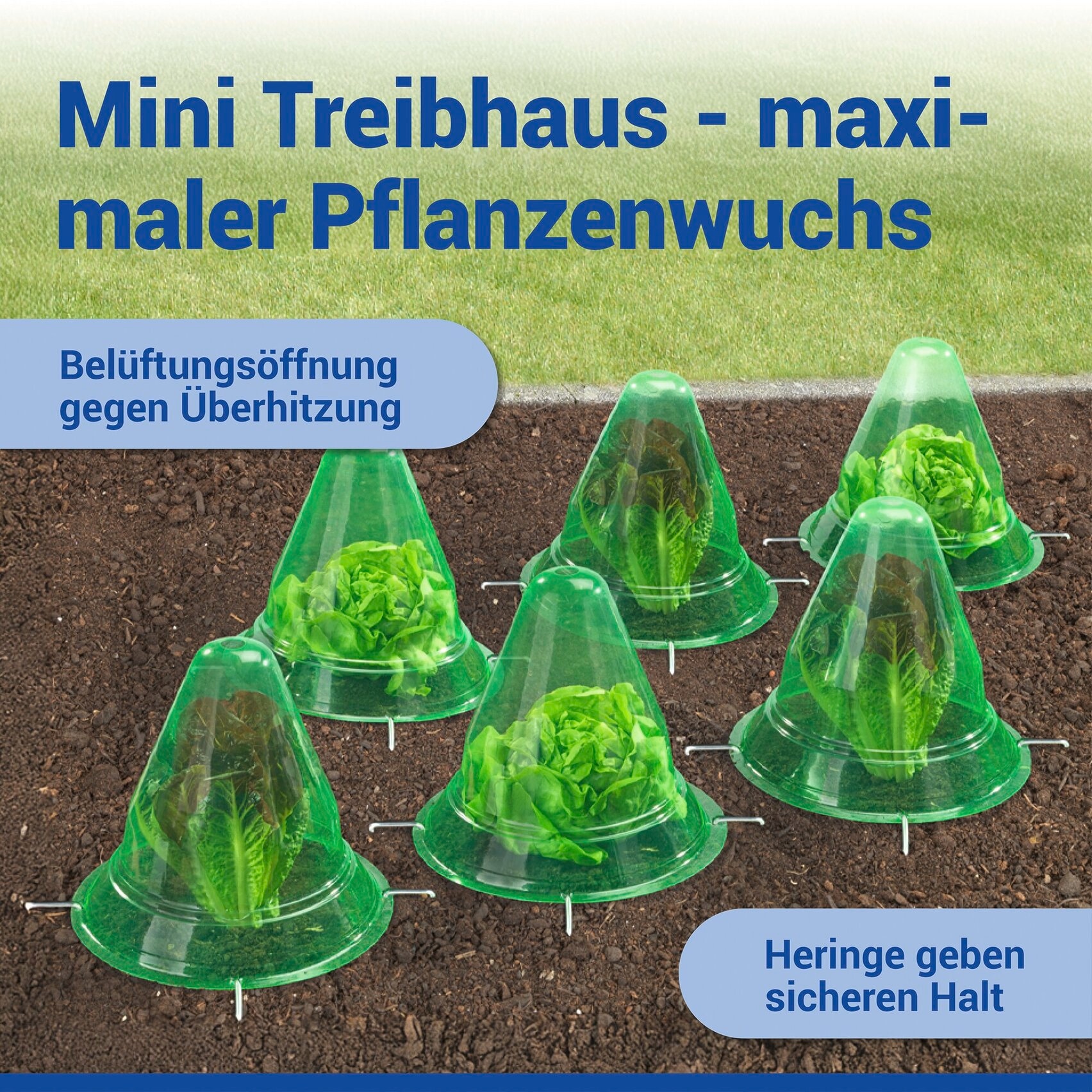 Maximex Pflanzenschutzdach »6 Stück Pflanzenhut« schützt Setzlinge vor Witterung & Schädlingen, für Beet & Hochbeet