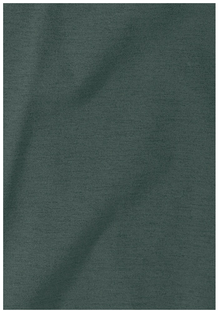 Jack Wolfskin T-Shirt »TRAVEL T M«