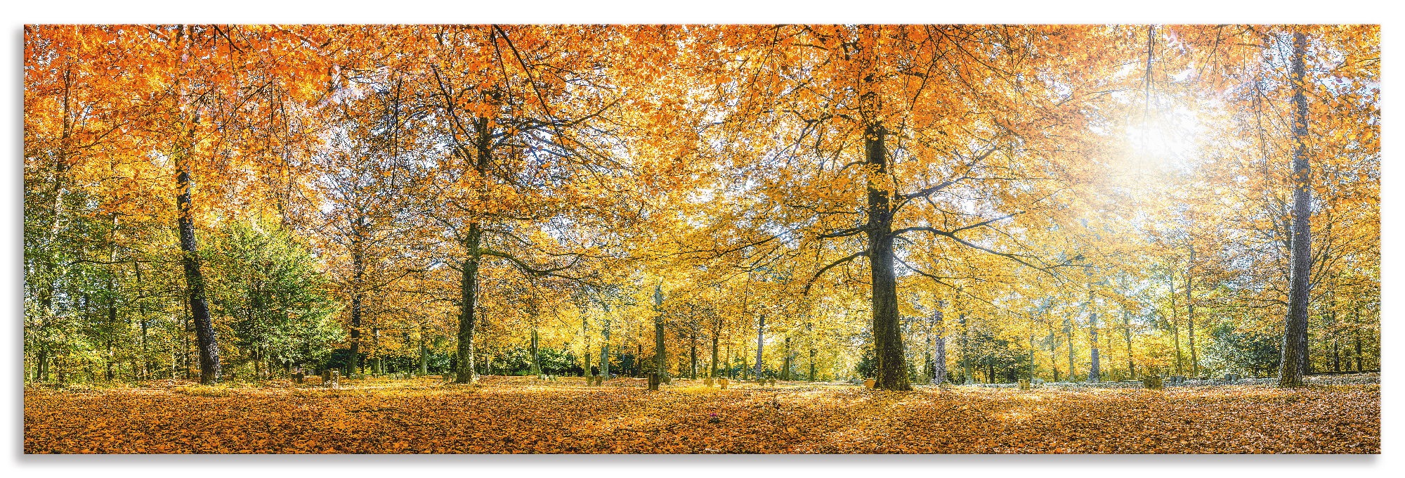 Artland Küchenrückwand »Herbstwald Panorama«, (1 tlg.), selbstklebend in vielen Größen - Spritzschutz Küche hinter Herd u. Spüle als Wandschutz vor Fett, Wasser u. Schmutz - Rückwand, Wandverkleidung aus Alu