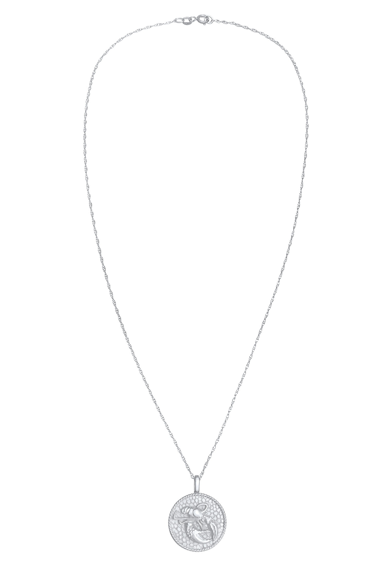 Elli Kette mit Anhänger »Halskette Sternzeichen Krebs Zodiac Astro Münze 925 Silber«
