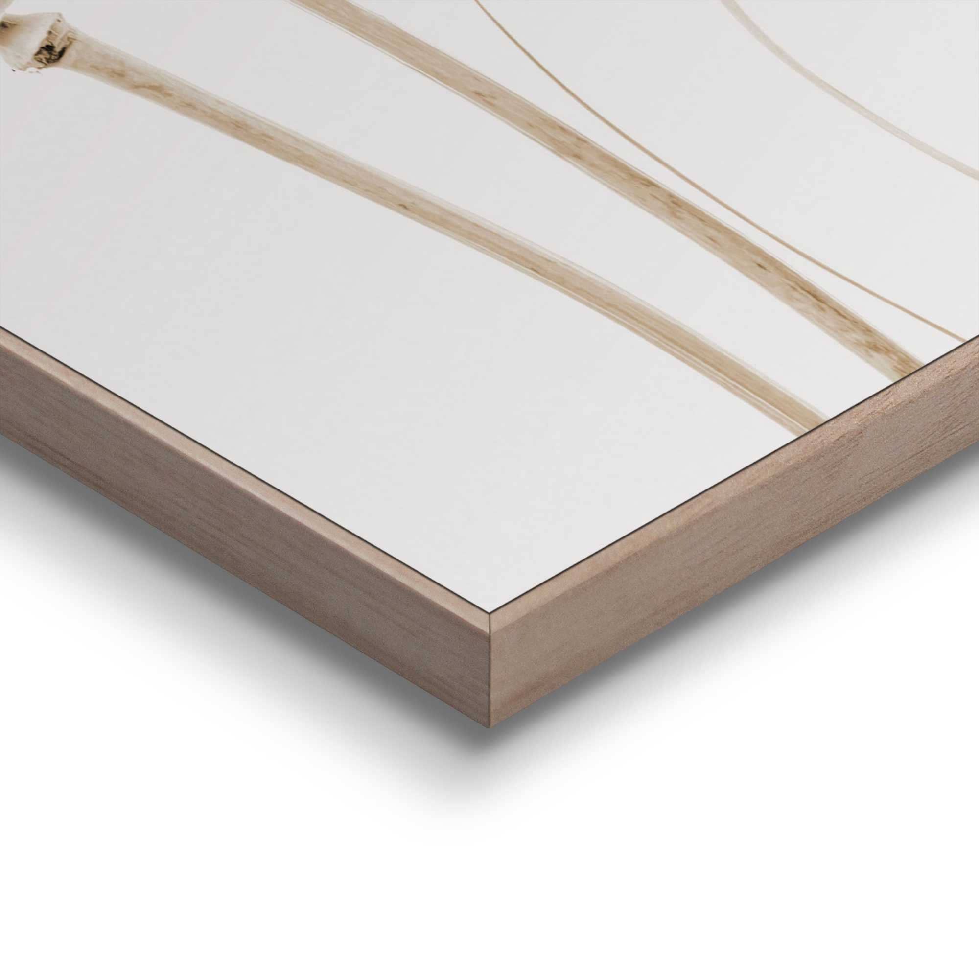 Reinders! Poster »Trockene Blumen«