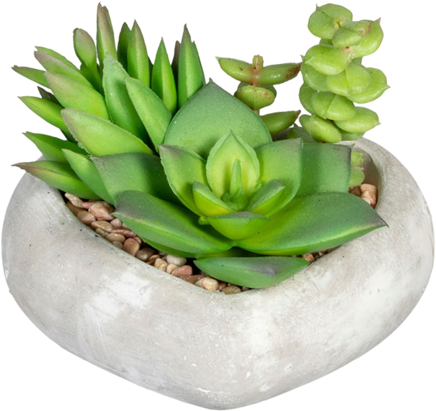 Creativ green Künstliche Zimmerpflanze »Sukkulentenarrangement«, in Zementschale, 3er Set