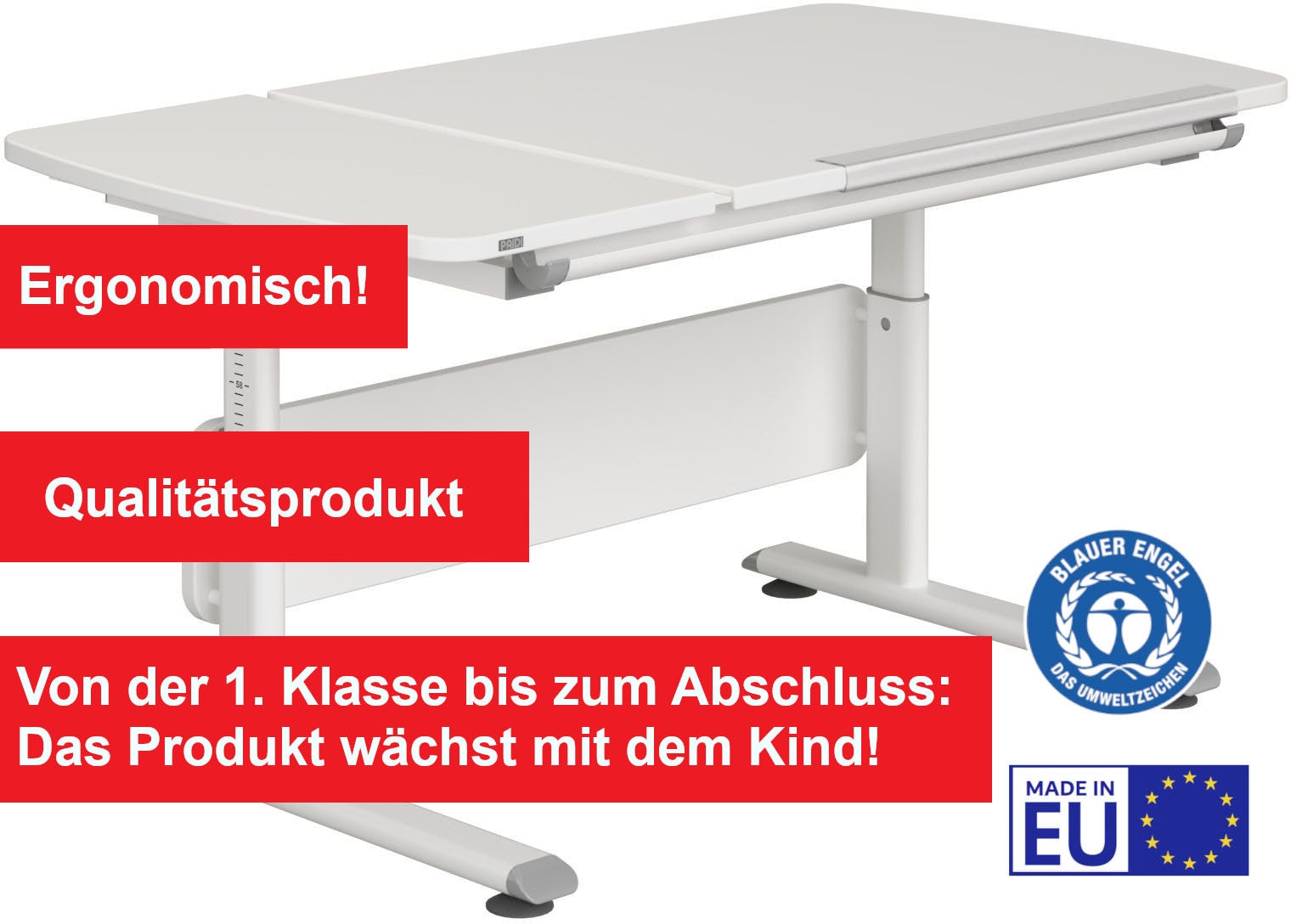 PAIDI Kinderschreibtisch »DIEGO CURVED GT, Schülerschreibtisch, ergonomisch, mitwachsend«, stufenlos höhenverstellbar, geteilte Tischplatte neigbar