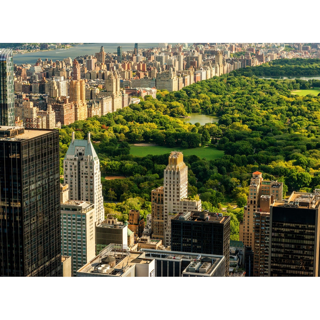 Papermoon Fototapete »Central Park Manhattan«