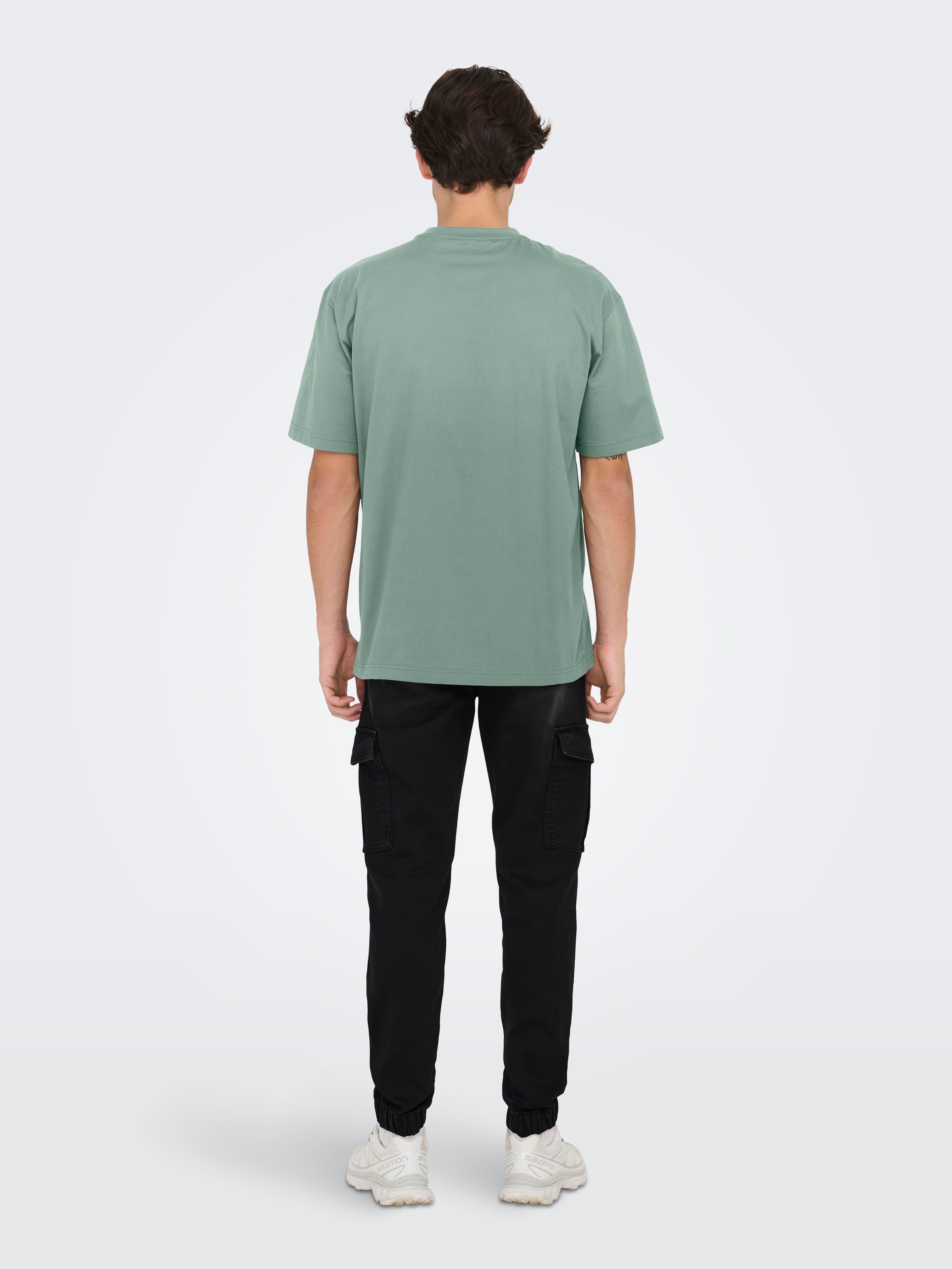 ONLY & SONS Rundhalsshirt »ONSFRED RLX SS TEE«