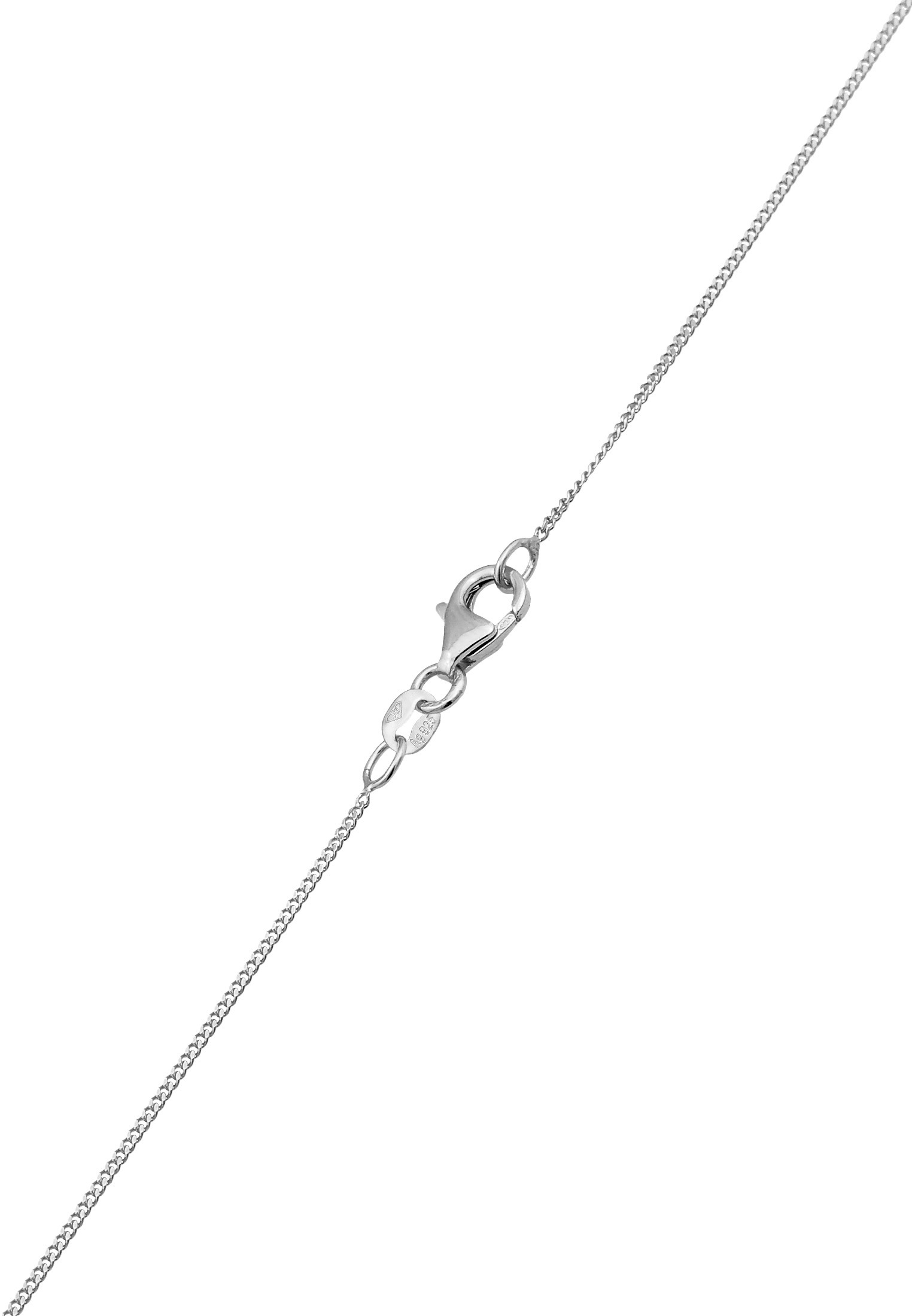 Elli DIAMONDS Silberkette »Halskette Kreis Anhänger Laborgezüchteter Diamanten Weiß (0.052 ct) 925 Sterling Silver«