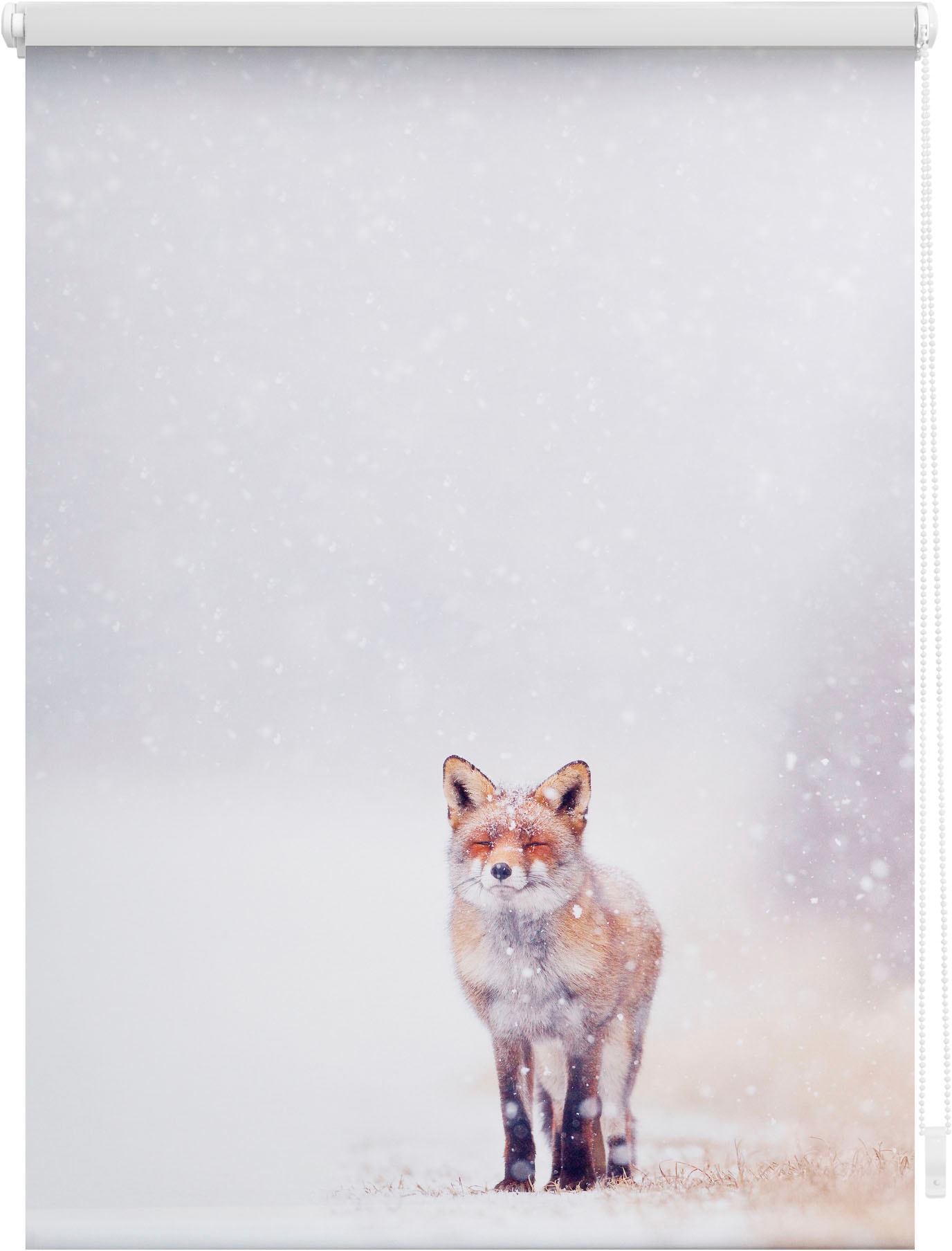 Seitenzugrollo »Klemmfix Motiv Fuchs im Schnee«, Lichtschutz, ohne Bohren,...