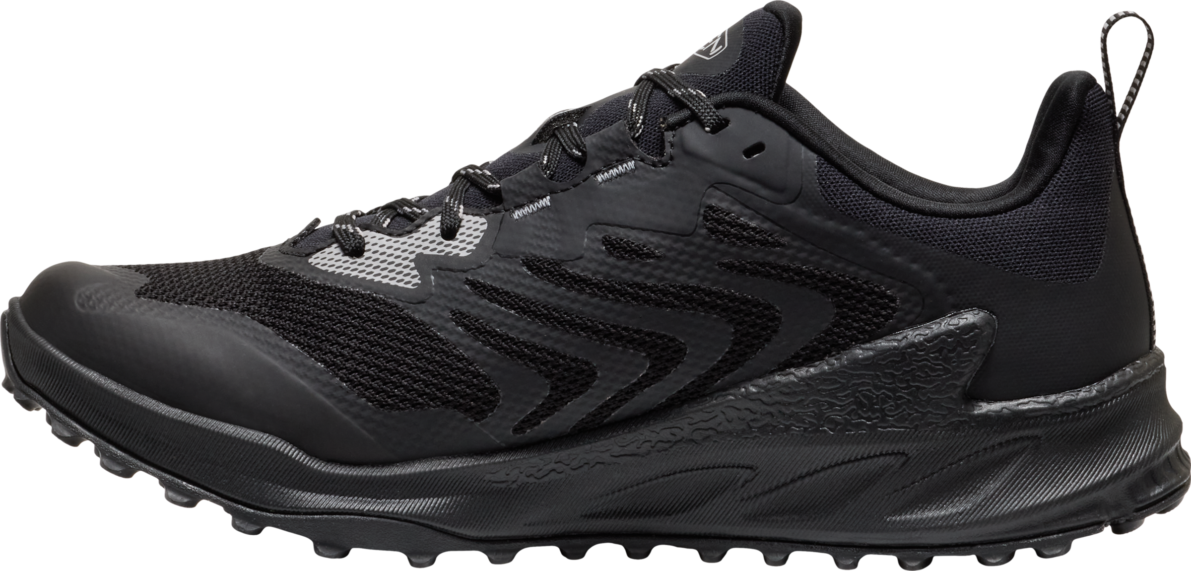 Keen Outdoorschuh »ZIONIC NXT WP«  wasserdicht