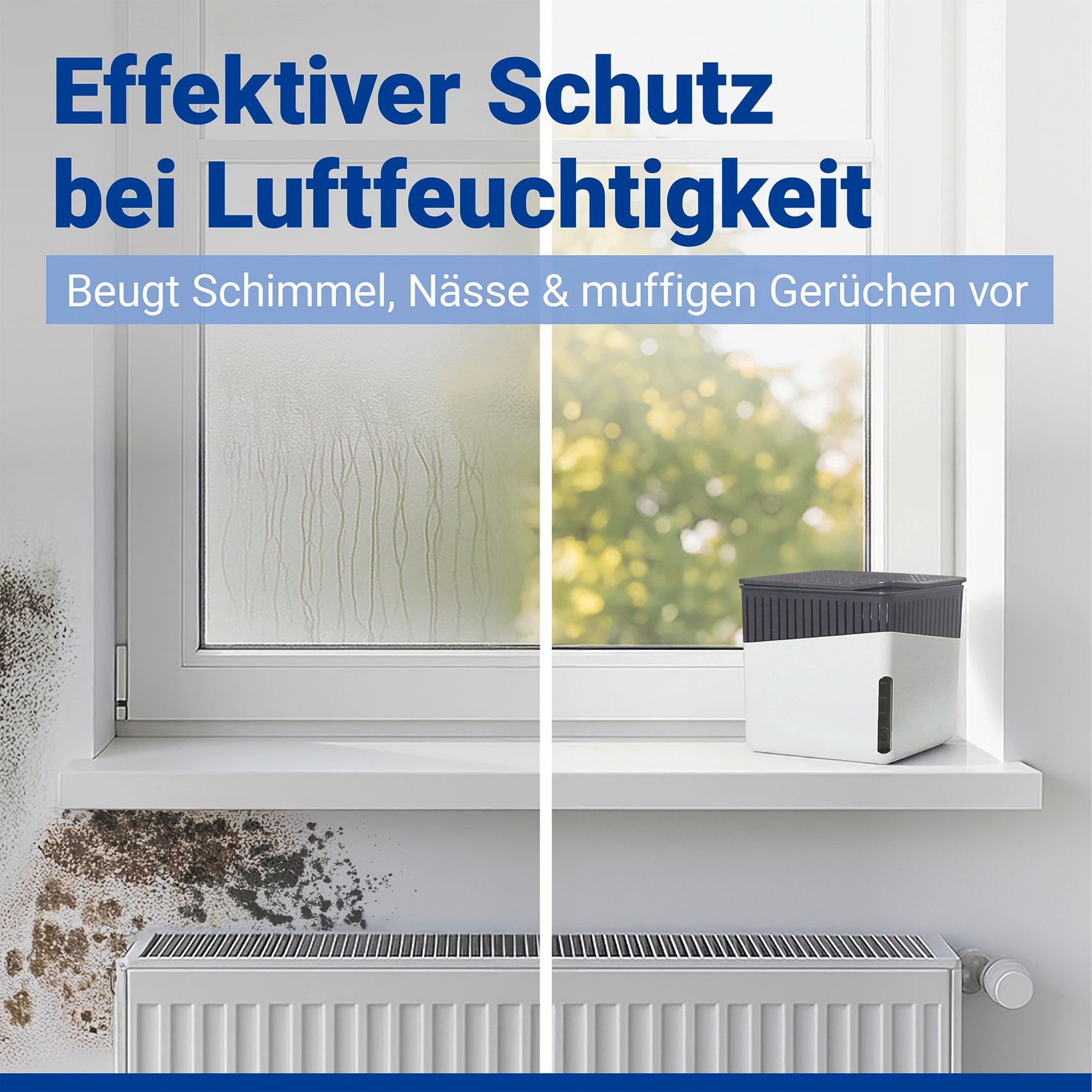 WENKO Luftentfeuchter »Cube« für 80 m³ Räume 1000 g