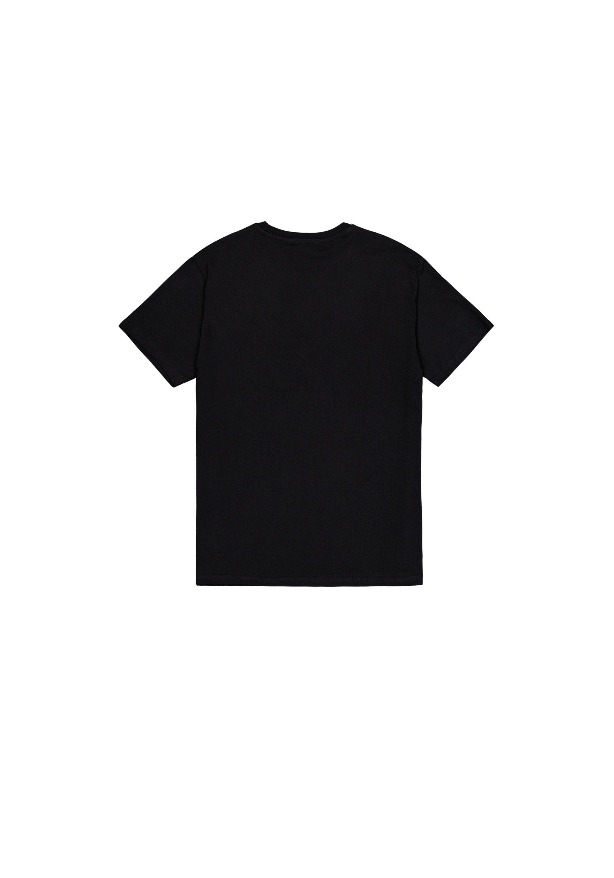 Alpha Industries T-Shirt »Alpha Wording T-Shirt«