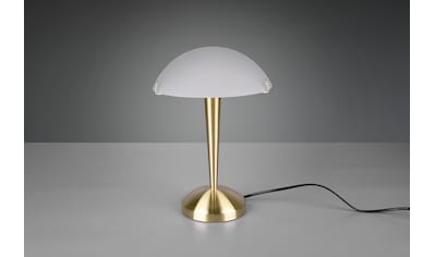 TRIO Leuchten Schreibtischlampe »Pilz«, E14, 1 St., E14 Tischleuchte mit 4-Stufen... kaufen