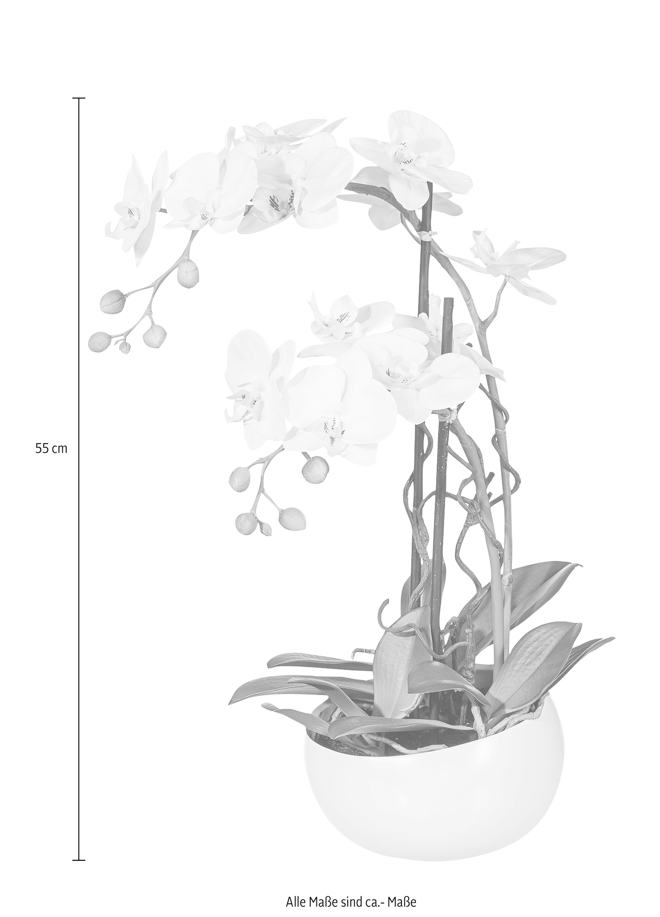 Creativ green Kunstpflanze »Orchidee«, (1 St.) im OTTO Online Shop