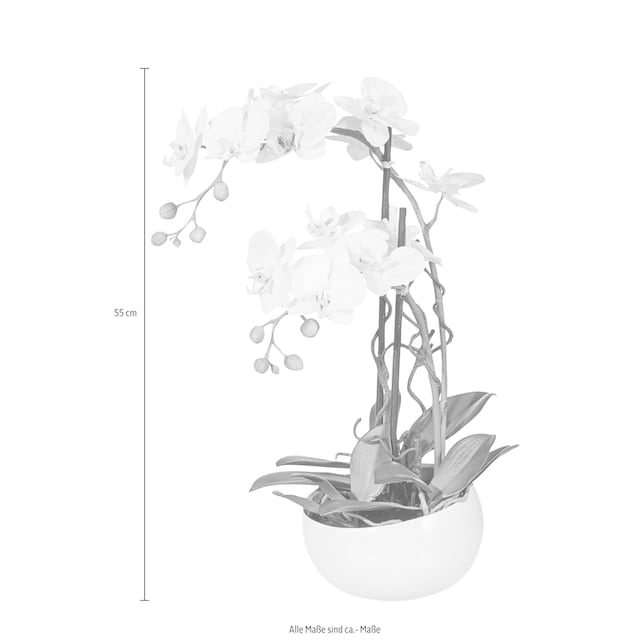 Kunstpflanze Creativ (1 St.) green Online Shop »Orchidee«, OTTO im