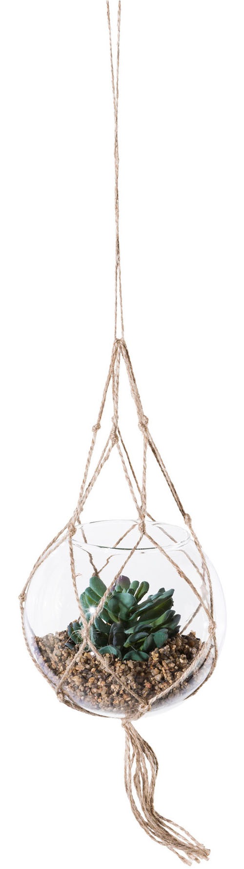 Creativ green Kunstpflanze »Sukkulenten« mit Makramee-Aufhängung