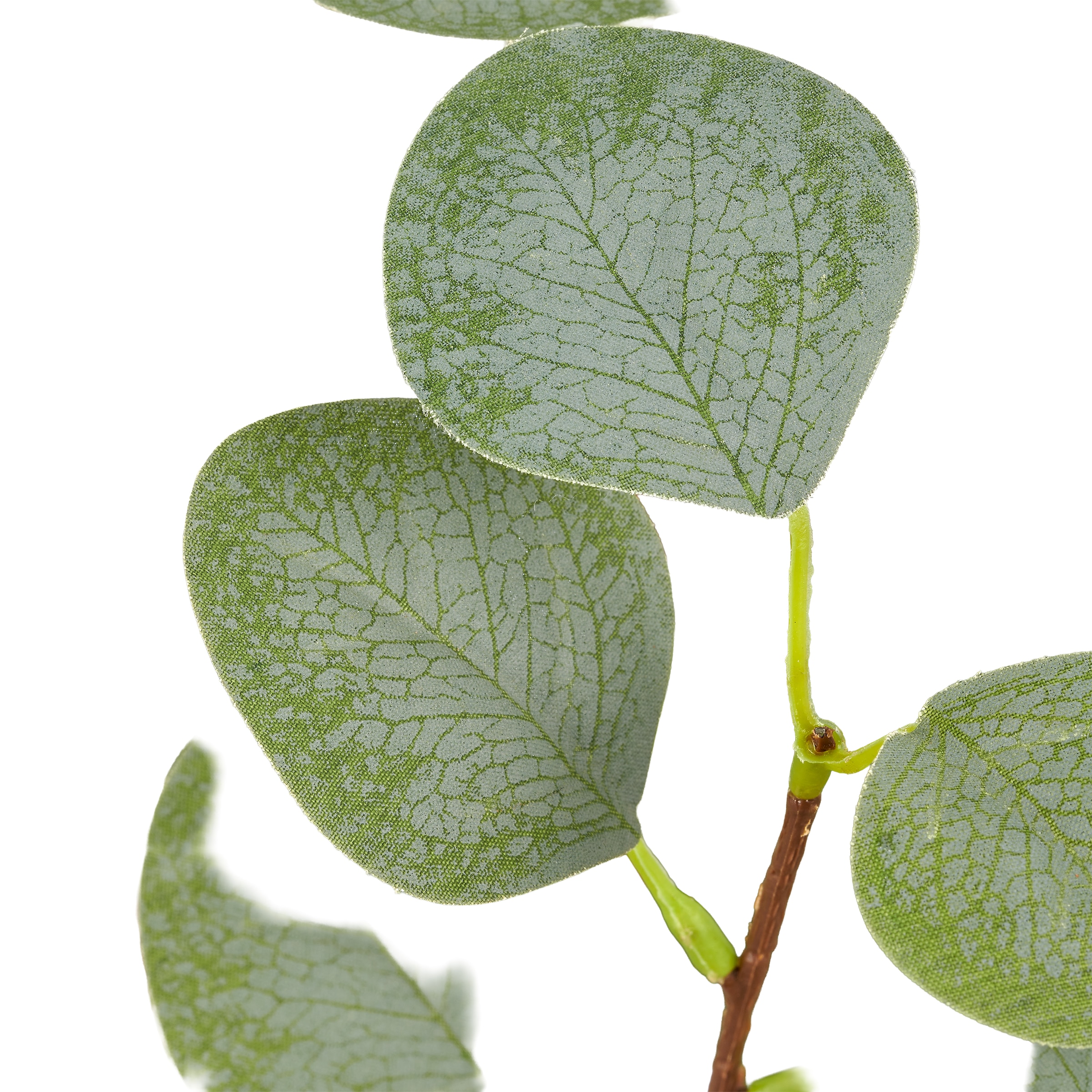 Creativ green Kunstpflanze »Eukalyptus« mit naturgetreuem Blattwerk