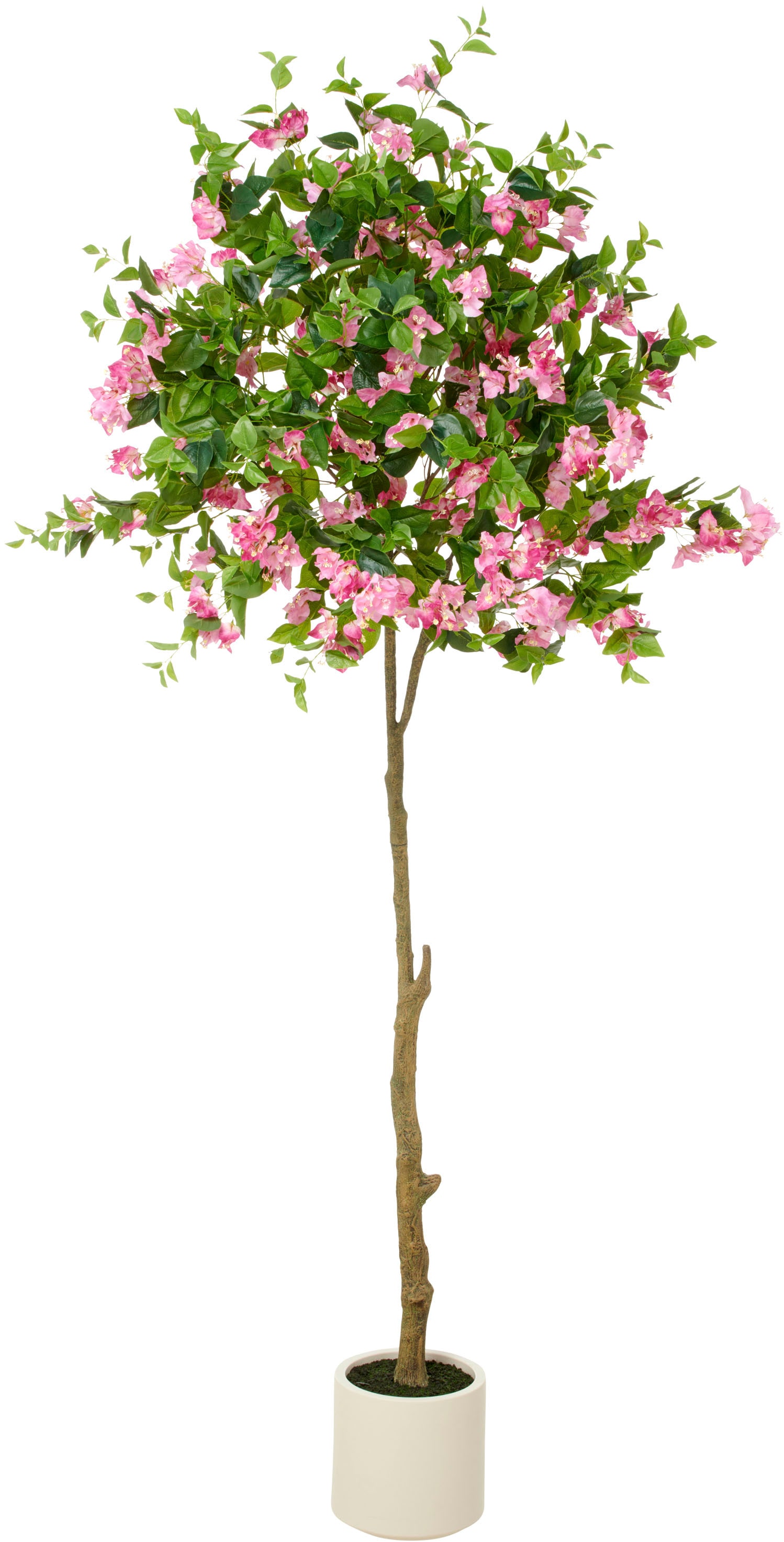 Creativ Green Kunstbaum »Bougainvillea« mit zahlreichen Blüten in pink, Größe B/H/L: 240 cm