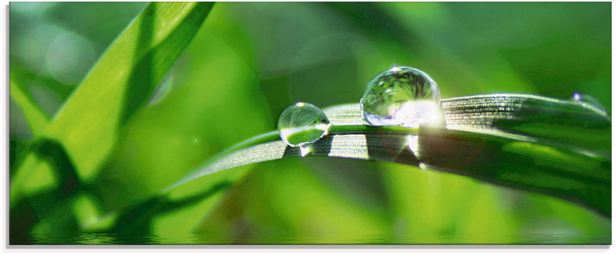 Artland Glasbild »Grüner Hintergrund mit Gras«, Gräser, (1 St.), in verschiedenen Größen